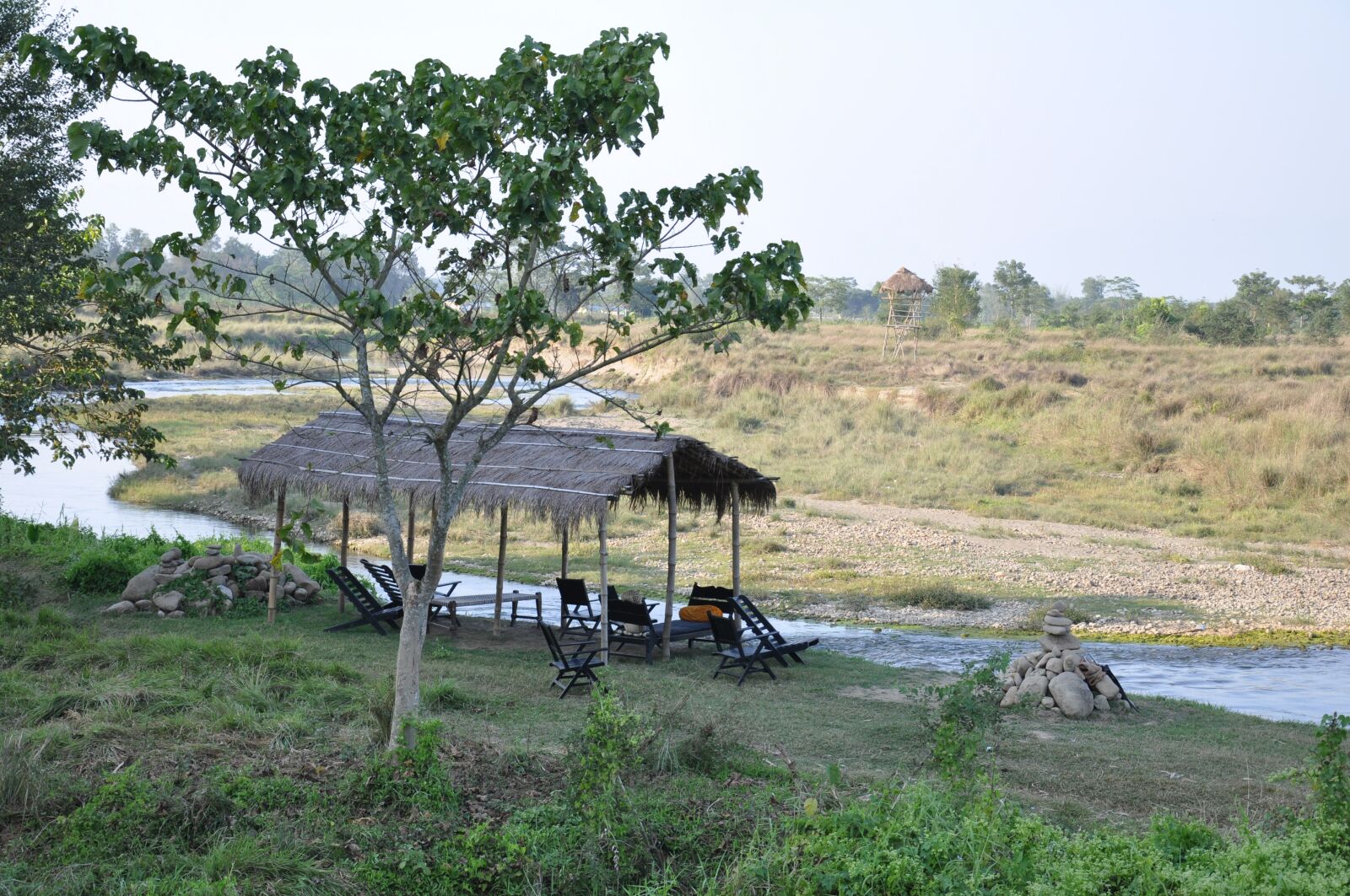 Nikon D90 sample photo. Landscape, nature, green photography