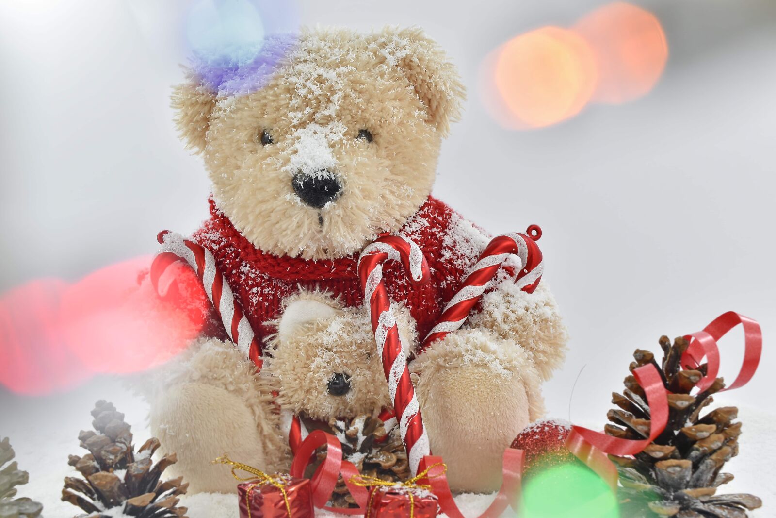 Nikon D5500 sample photo. Christmas, lights, teddy bear photography