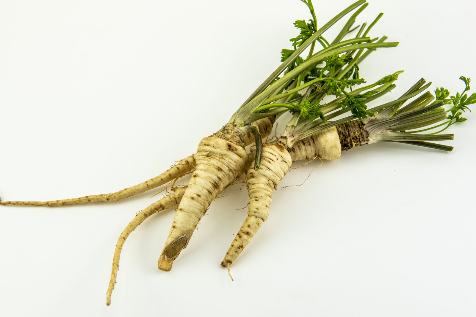 Nikon D750 sample photo. Parsley, root, food photography
