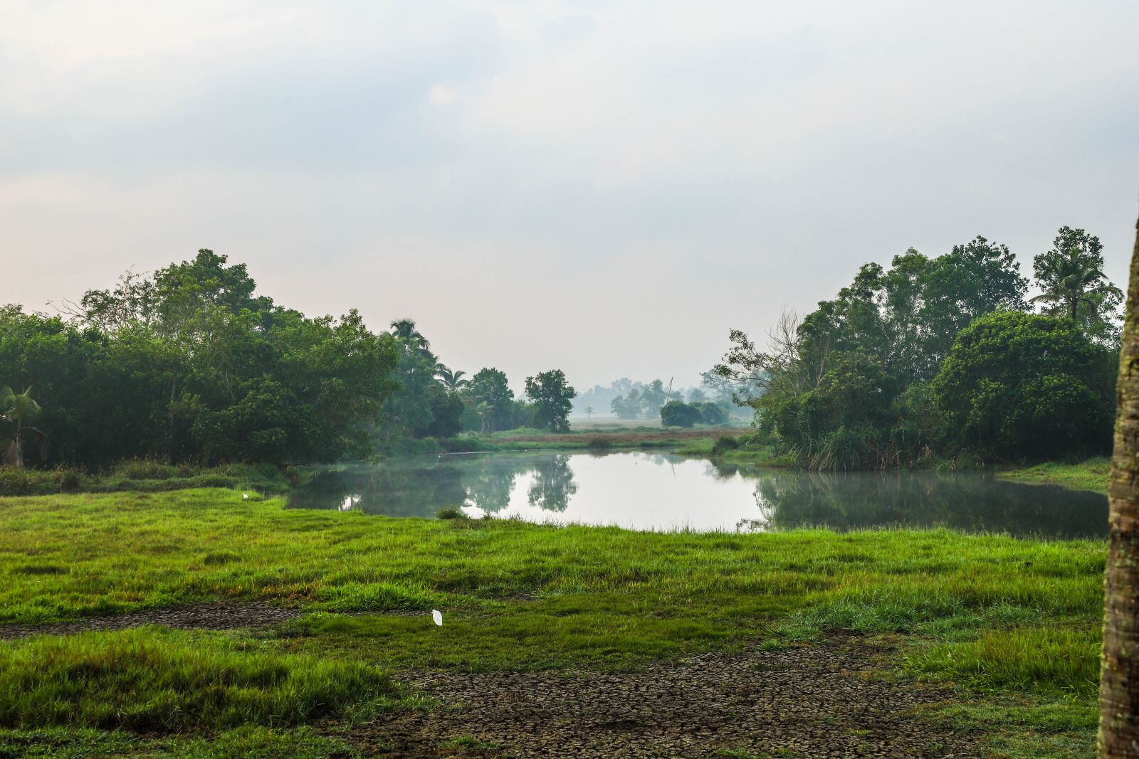 Canon EOS 6D Mark II sample photo. Pond, nature, water photography