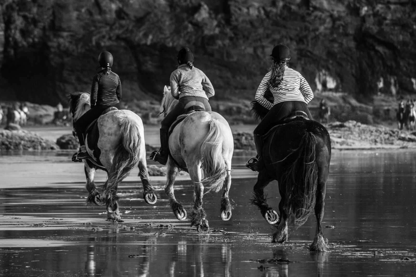Sony Alpha DSLR-A290 sample photo. Horse, races, running photography