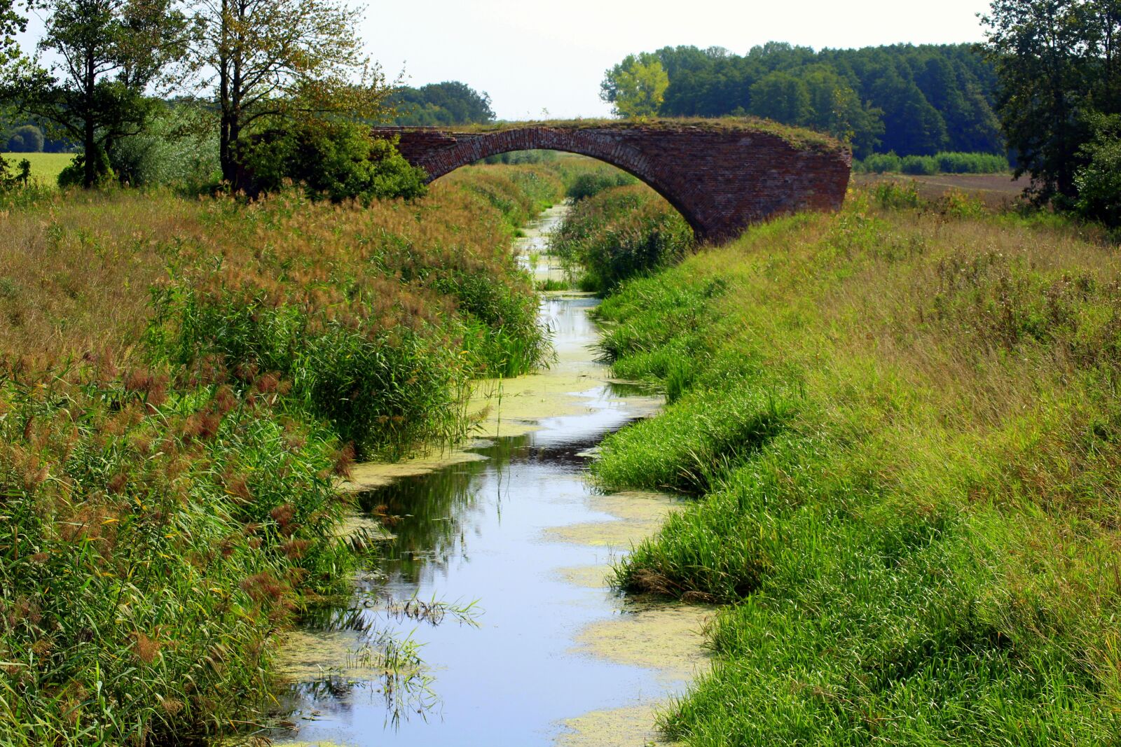 Canon EOS 1200D (EOS Rebel T5 / EOS Kiss X70 / EOS Hi) sample photo. The brook, landscape, summer photography