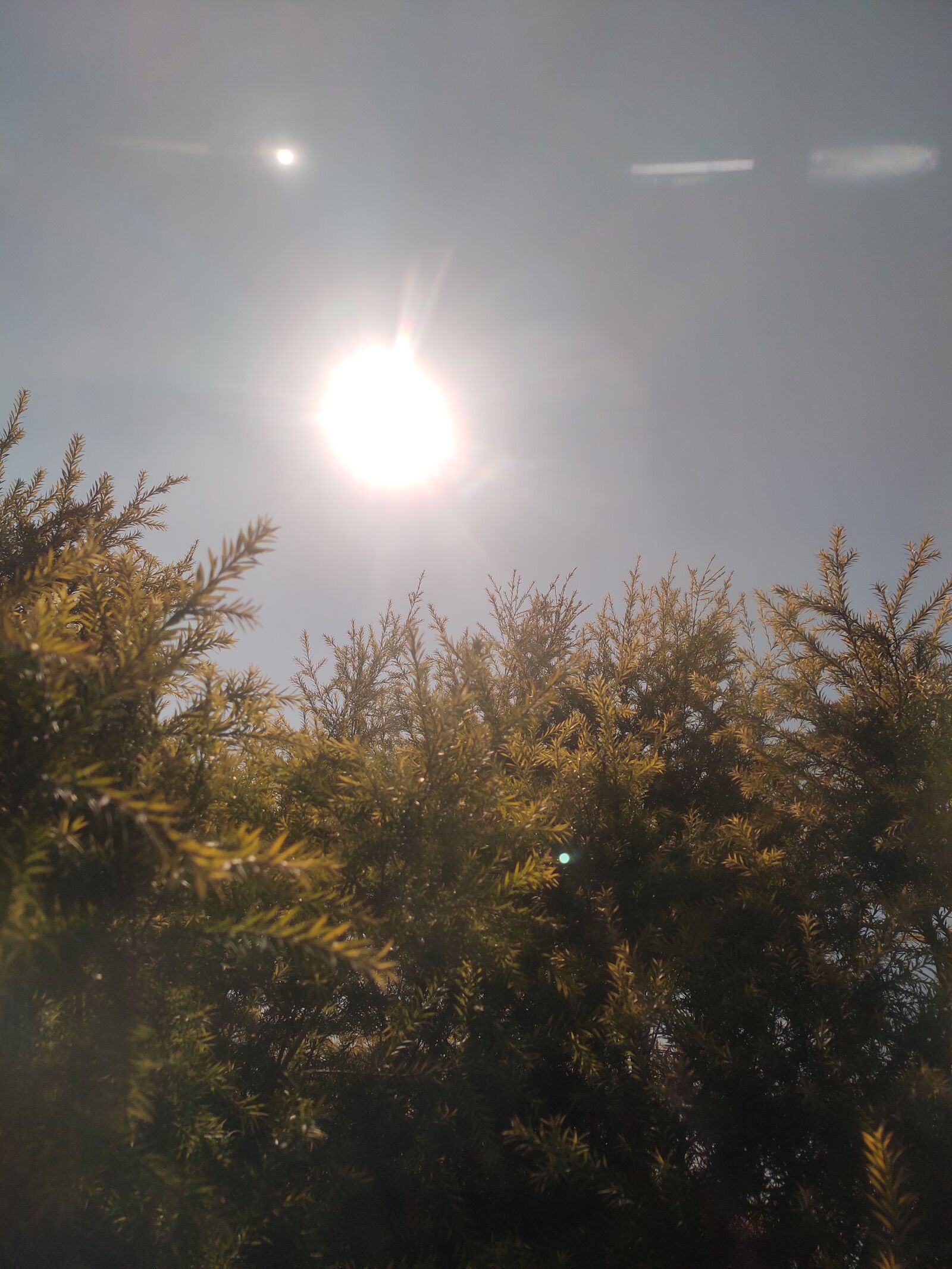 Xiaomi Redmi Note 7 Pro sample photo. Sun, sunlight, sunray photography