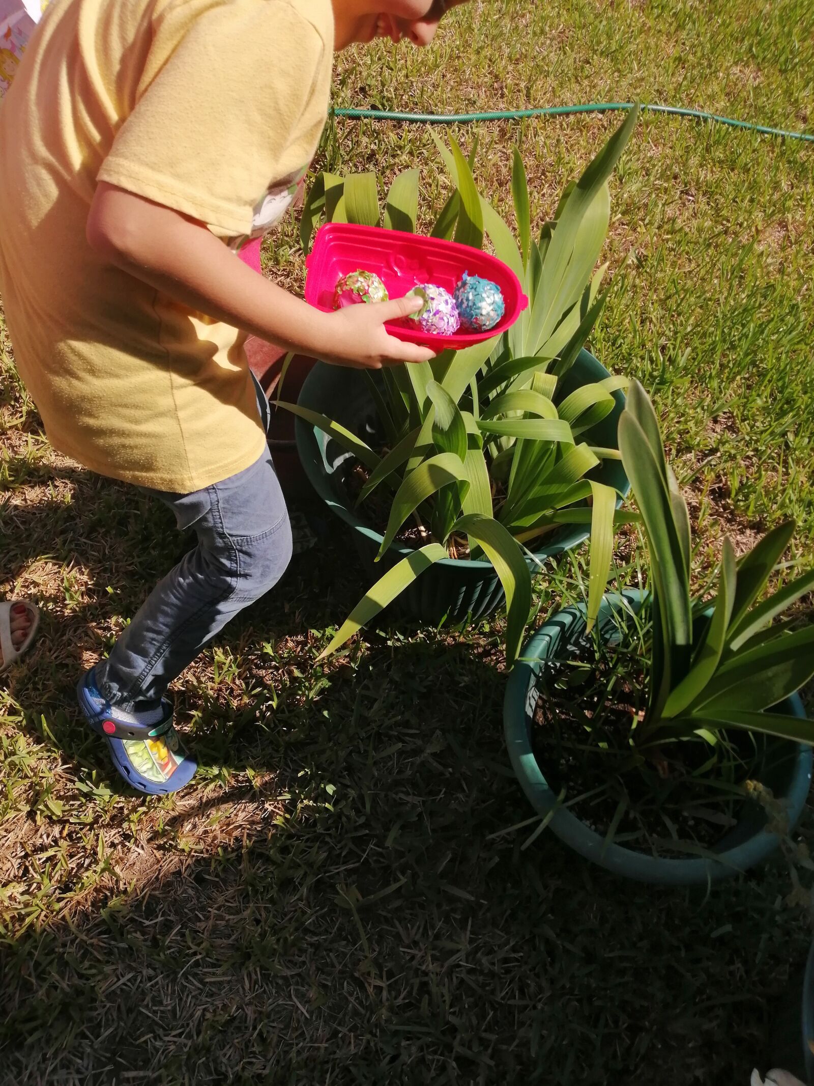 HUAWEI JKM-LX3 sample photo. Easter family, easter bunny photography