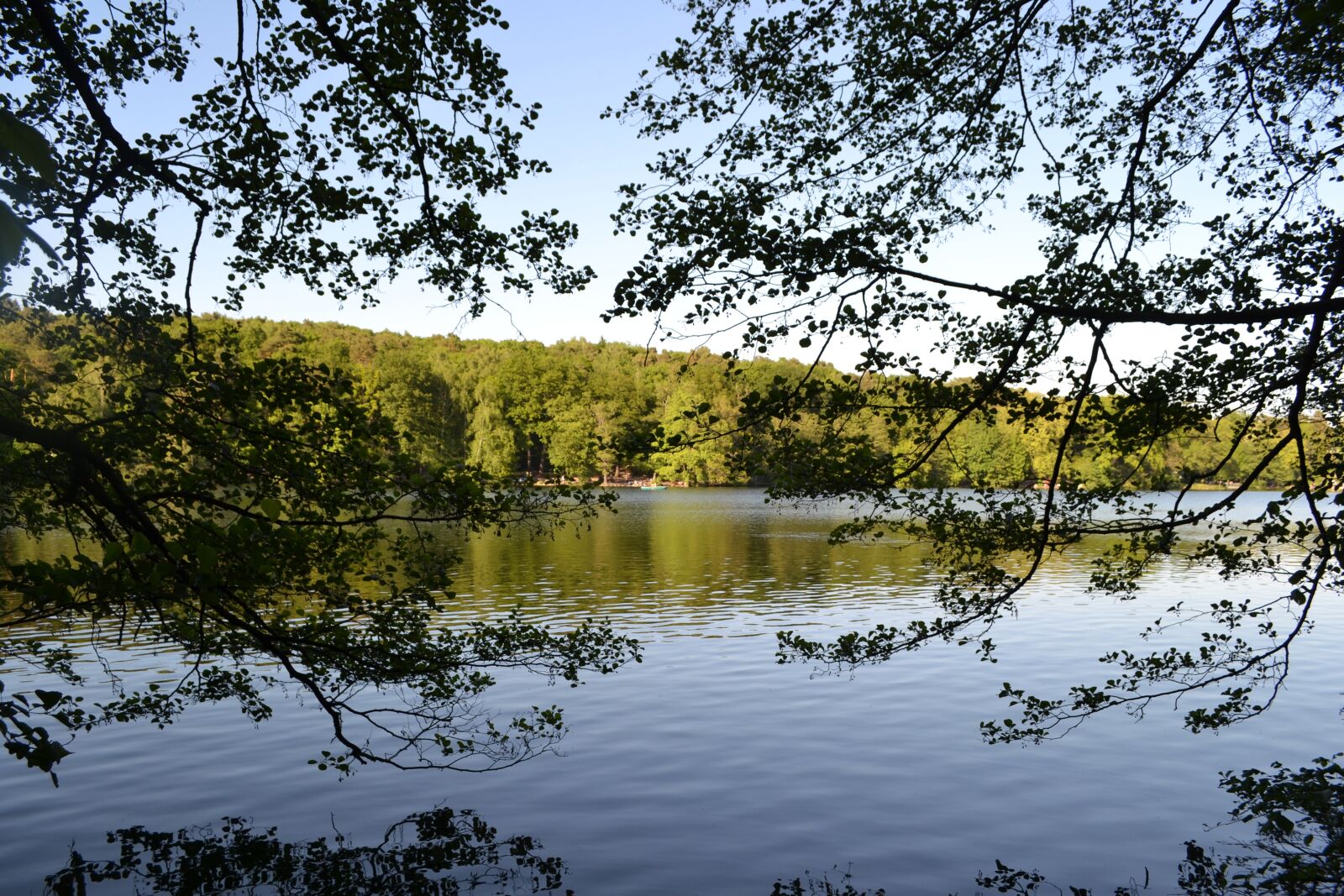 Nikon D3100 sample photo. Schlachtensee, lake, waters photography