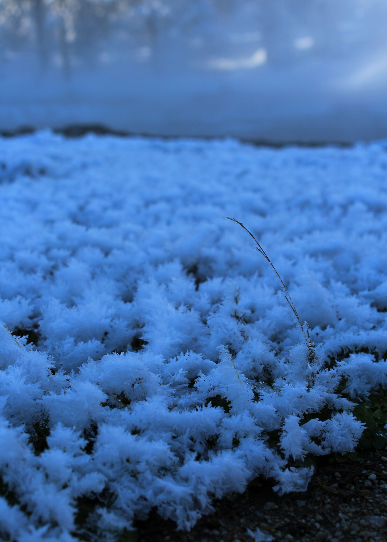 Canon EOS 1200D (EOS Rebel T5 / EOS Kiss X70 / EOS Hi) sample photo. Frozen, hot, springs, steam photography