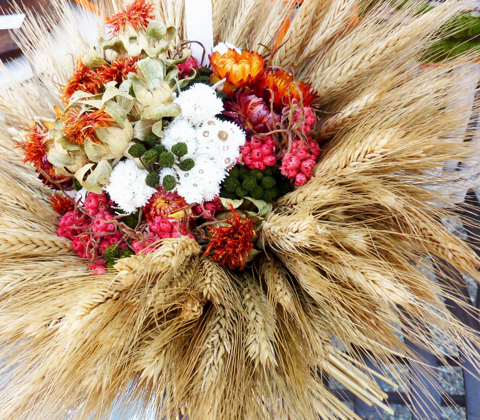 Panasonic DMC-TZ7 sample photo. Dry bouquet, flowers, spike photography