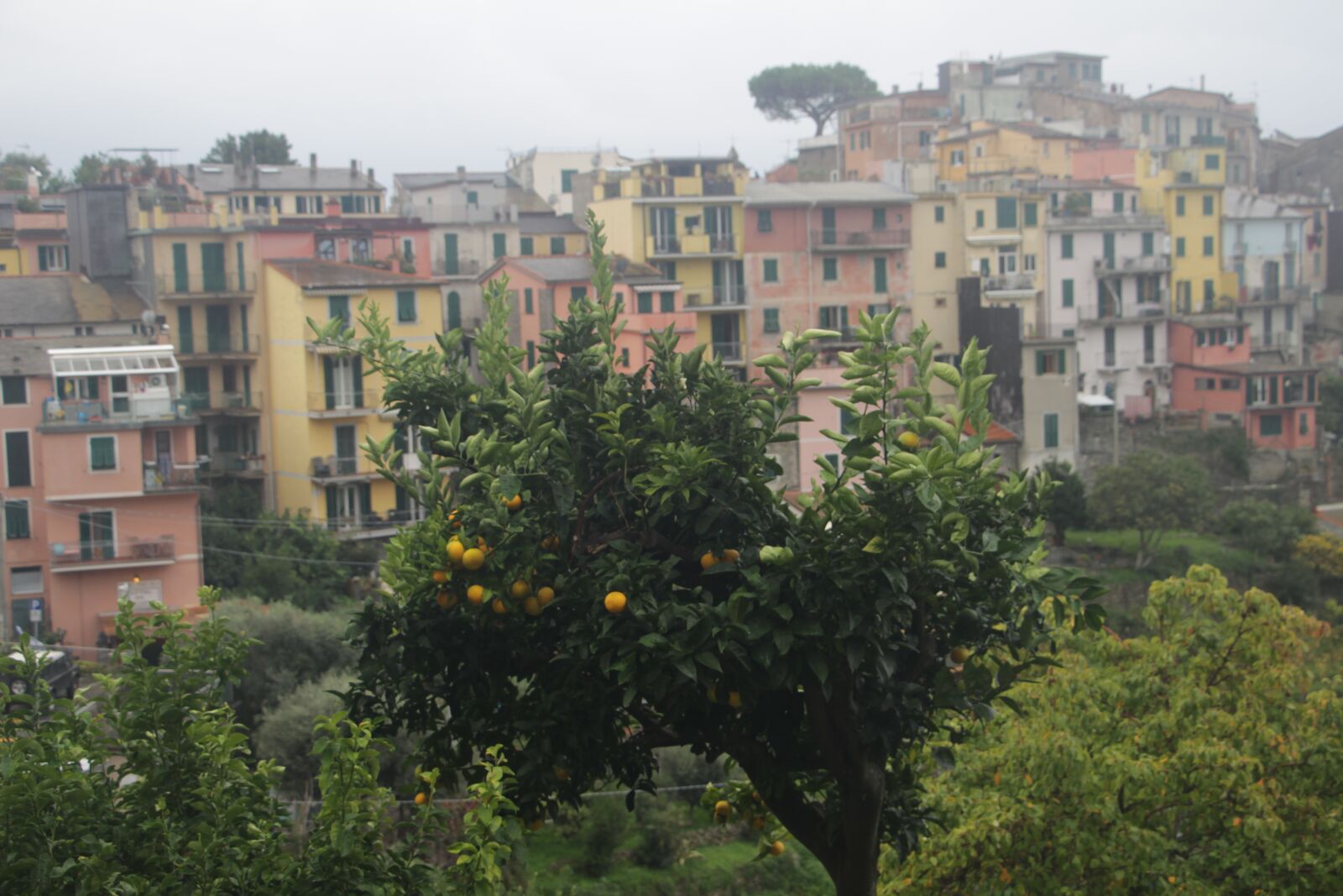 Canon EOS 700D (EOS Rebel T5i / EOS Kiss X7i) sample photo. View, panorama, italy photography