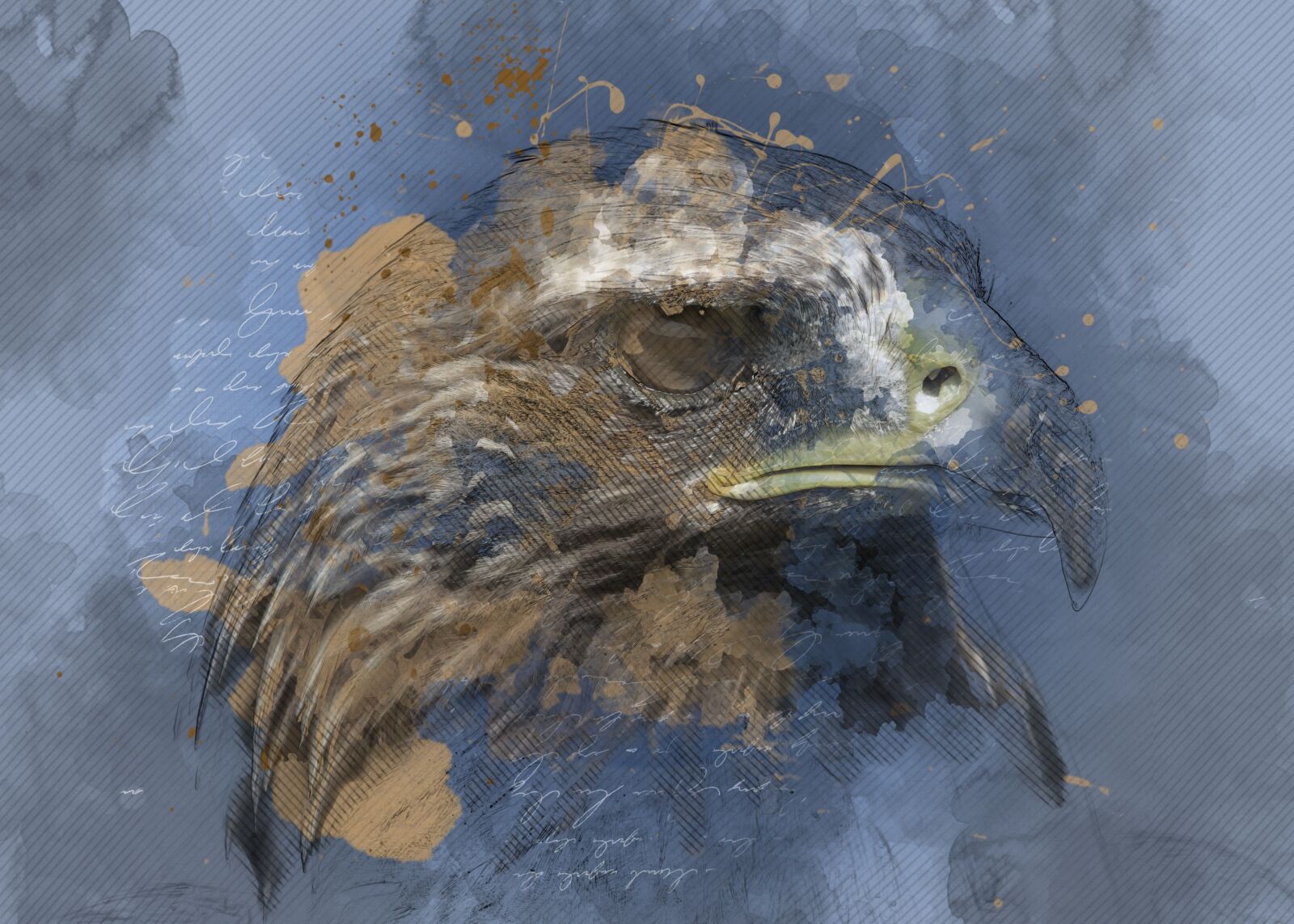 Canon EOS 500D (EOS Rebel T1i / EOS Kiss X3) sample photo. Eagle, raptor, bird of photography
