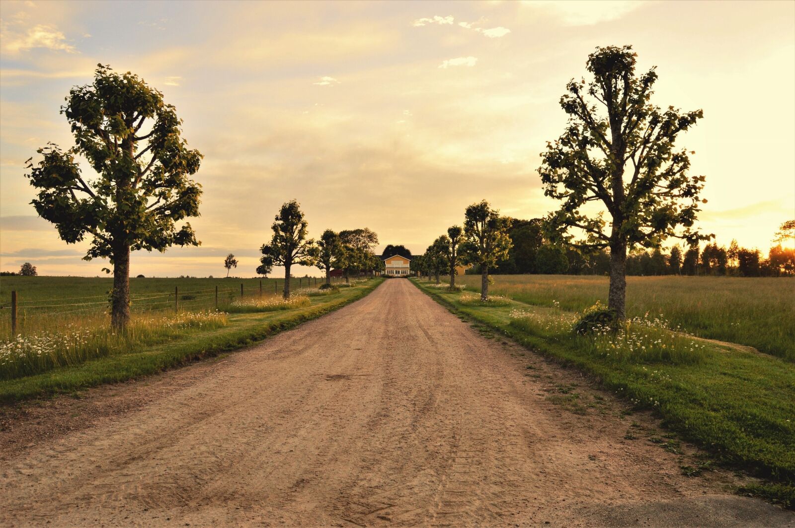 Nikon D3200 sample photo. Tree, house, road photography