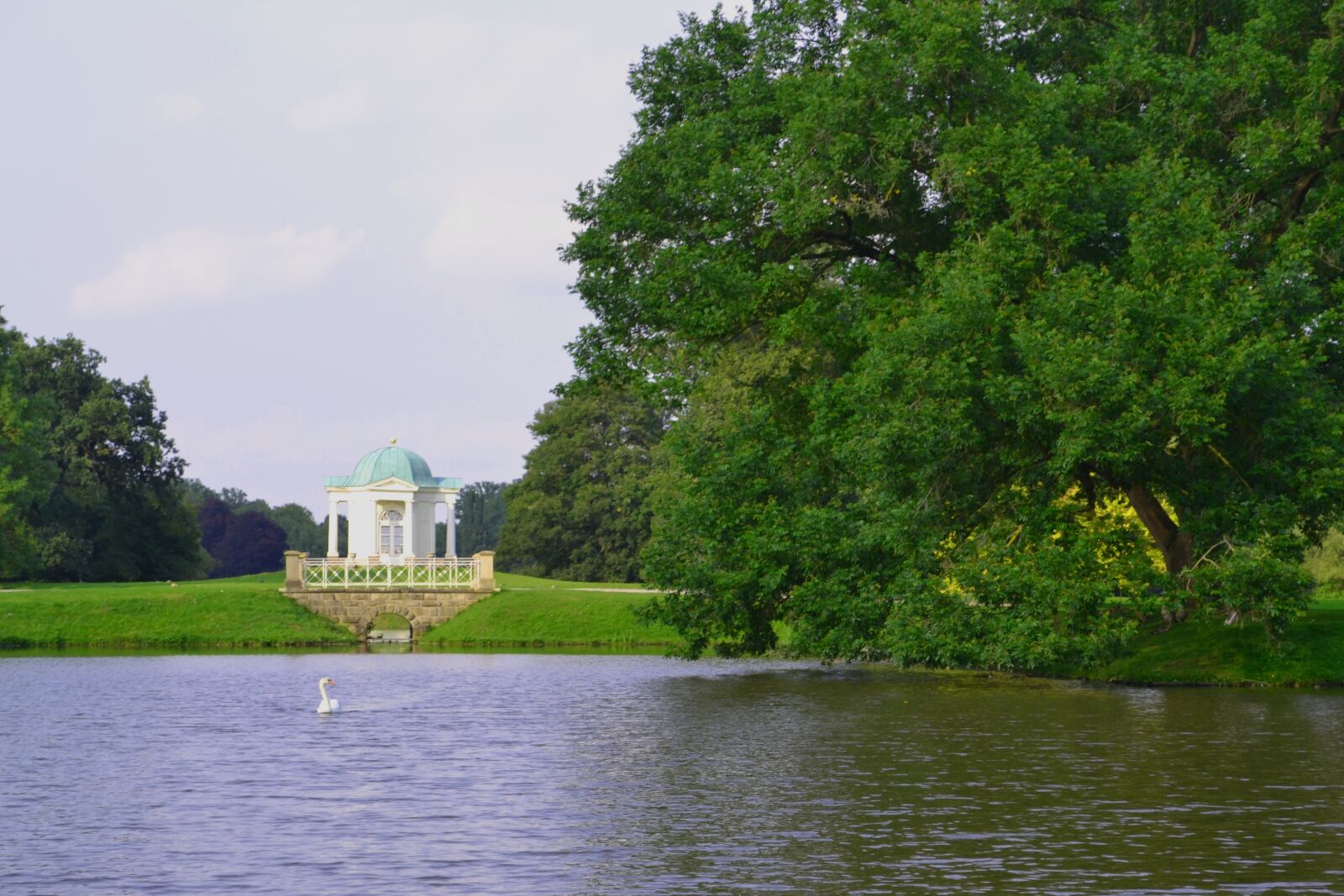 Nikon D3100 sample photo. Swan, karlsaue, kassel photography