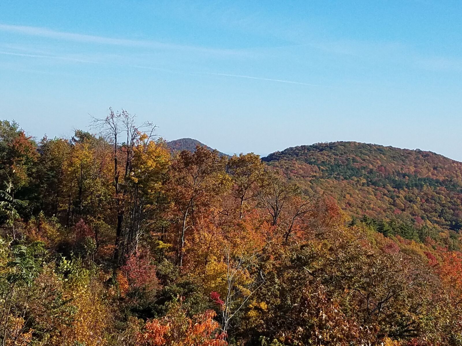 Samsung Galaxy S7 sample photo. Autumn, sassafras mountain, highest photography