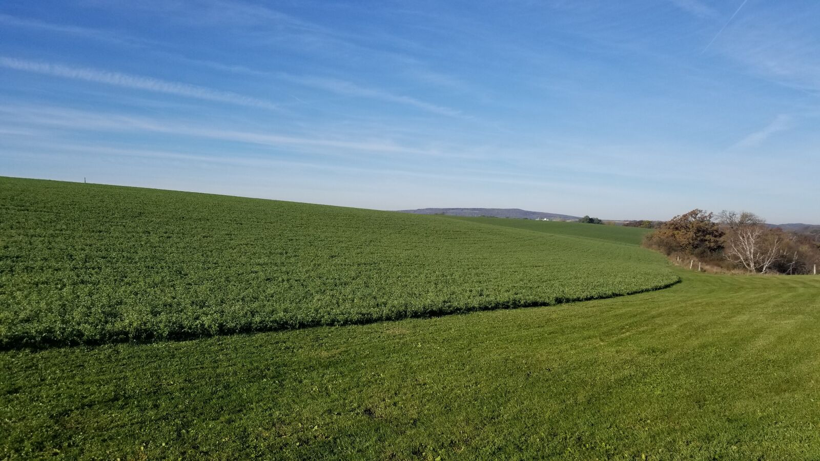 Samsung Galaxy S8 sample photo. Farm, dane county, farmers photography