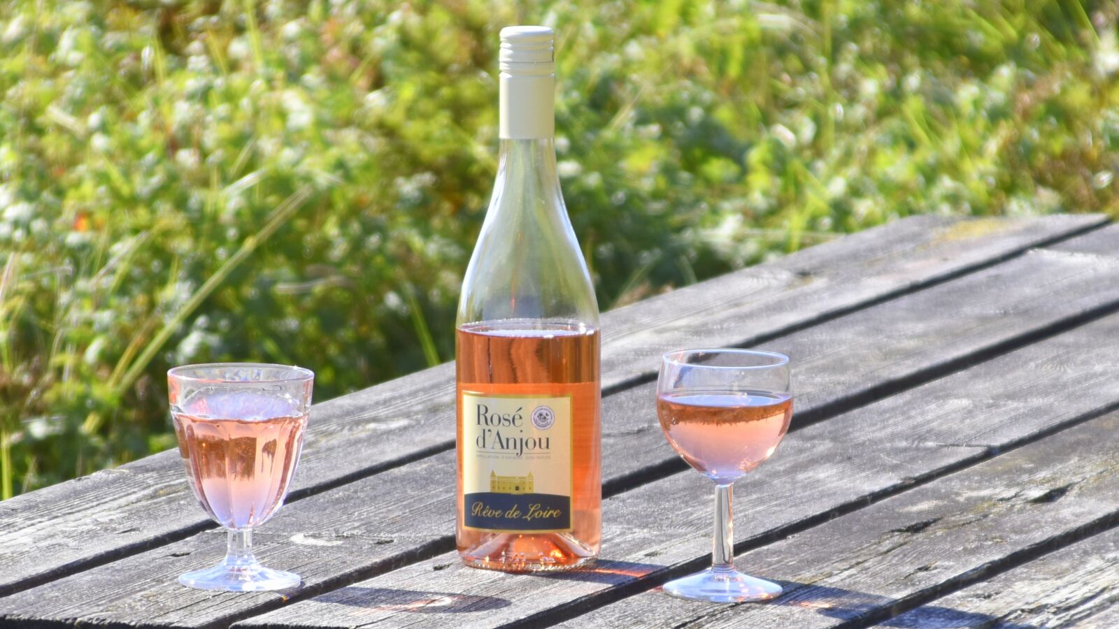 Nikon D5600 sample photo. Wine, wine glass, alcohol photography