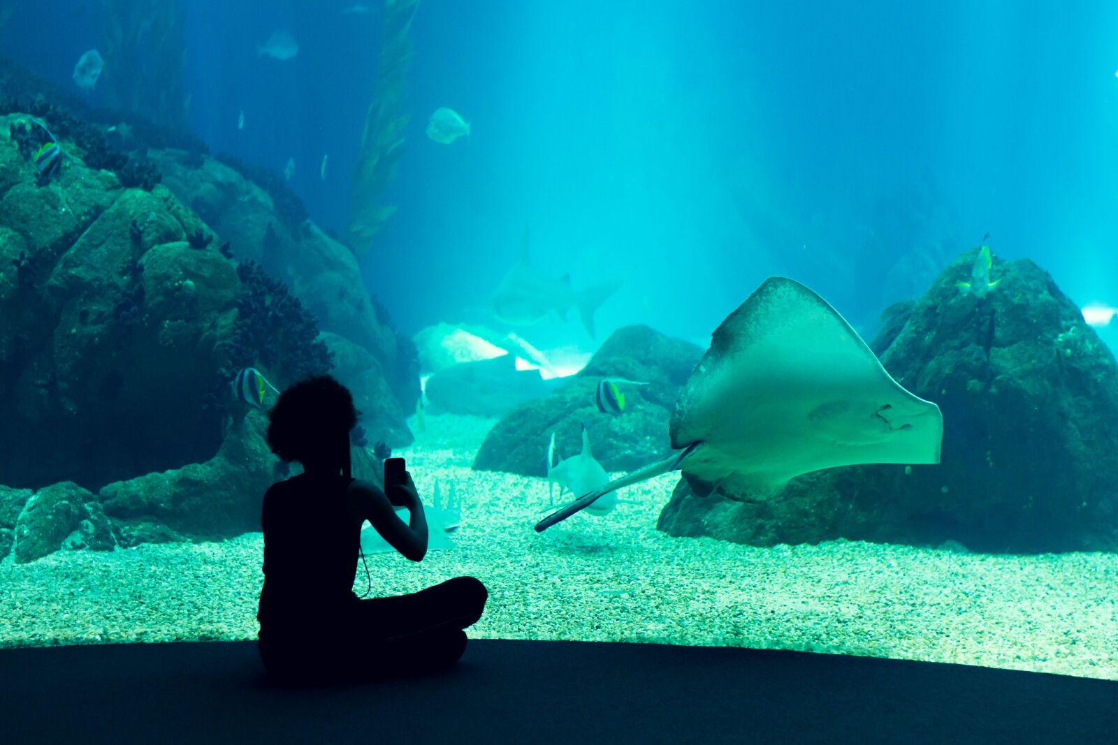 Nikon D3100 sample photo. Oceanarium, aquarium, lisbon photography