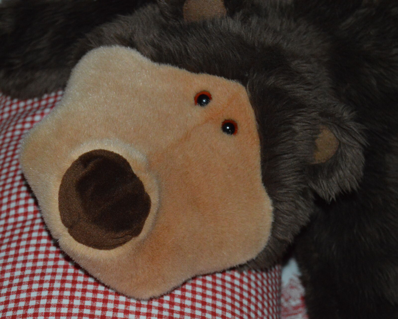 Nikon D3200 sample photo
