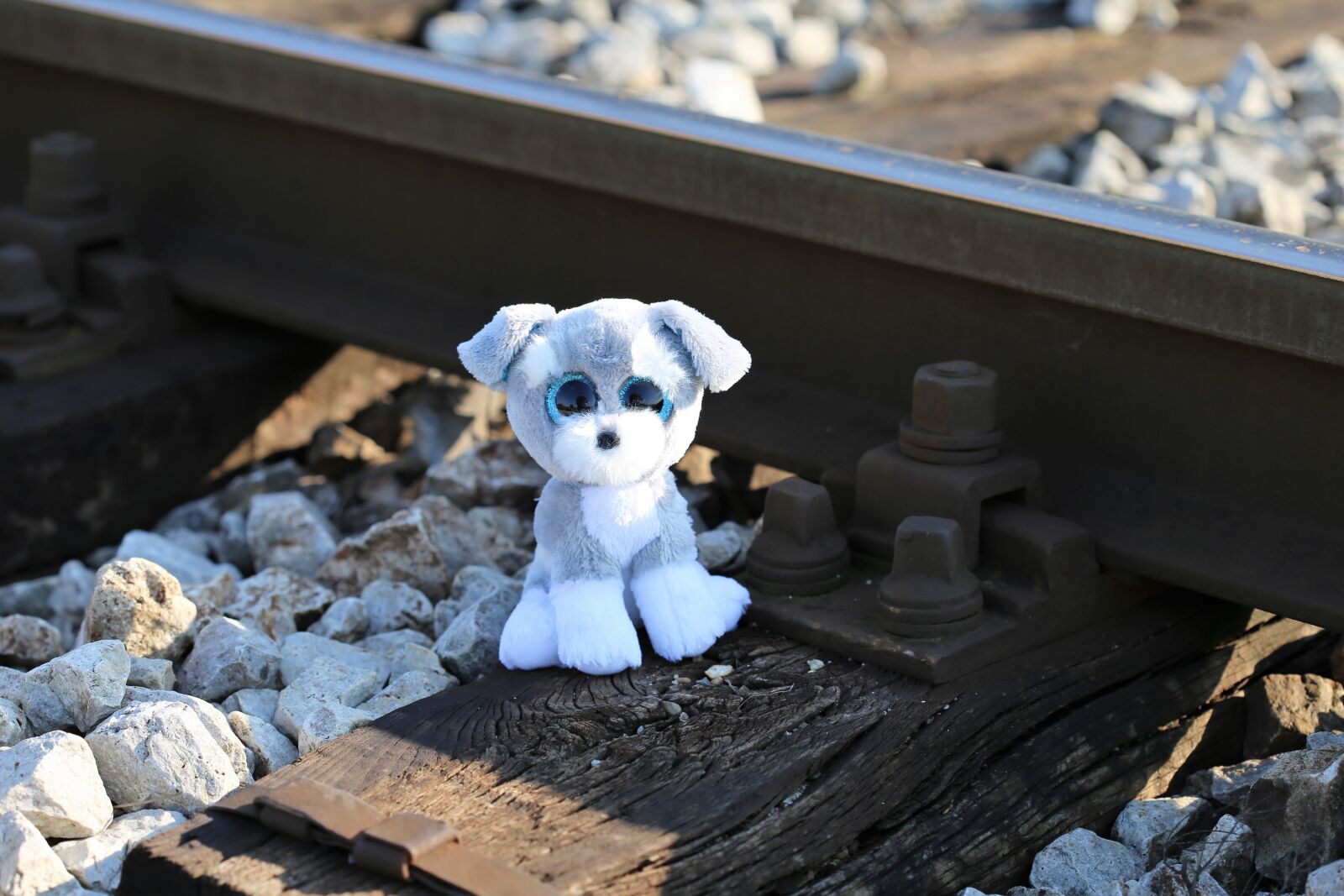 Canon EOS 6D + Canon EF 100mm F2.8 Macro USM sample photo. Stop children suicide now photography