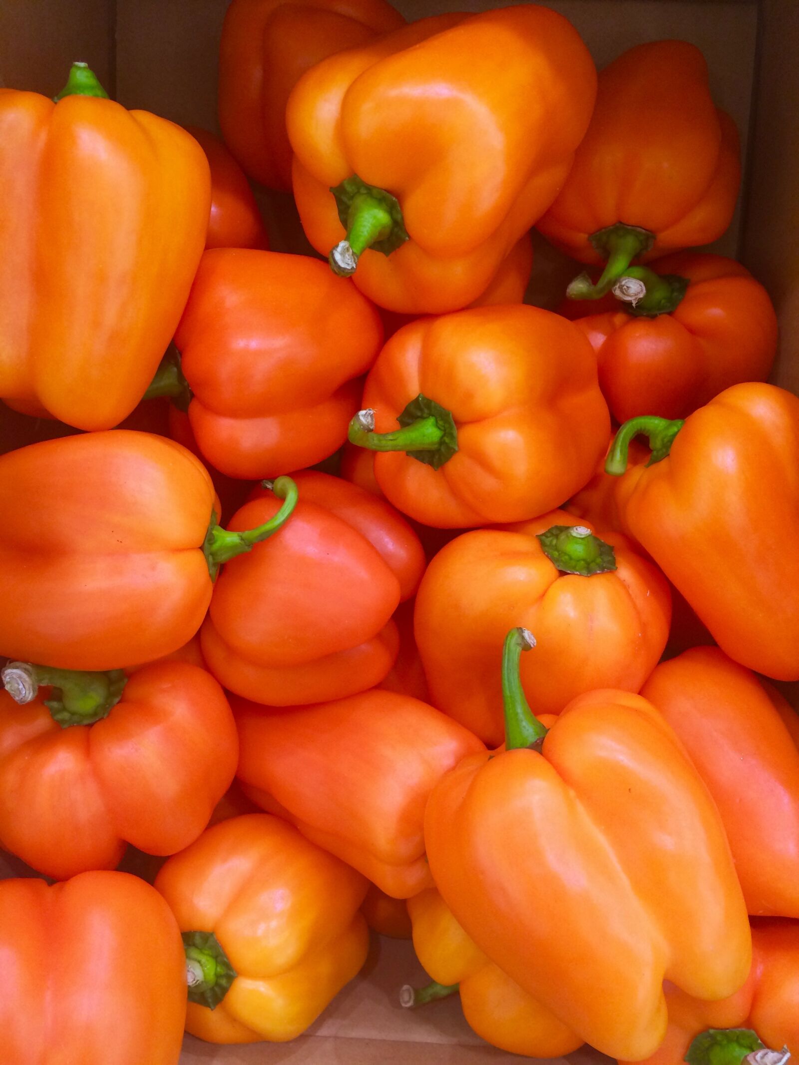 iPhone 5s back camera 4.15mm f/2.2 sample photo. Orange, paprika, green photography