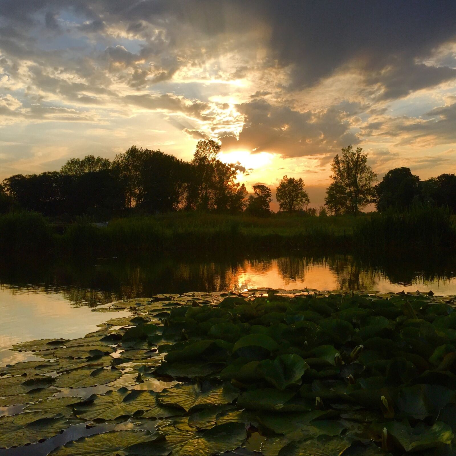 Apple iPhone 6 sample photo. Fishing, norfolk, water photography