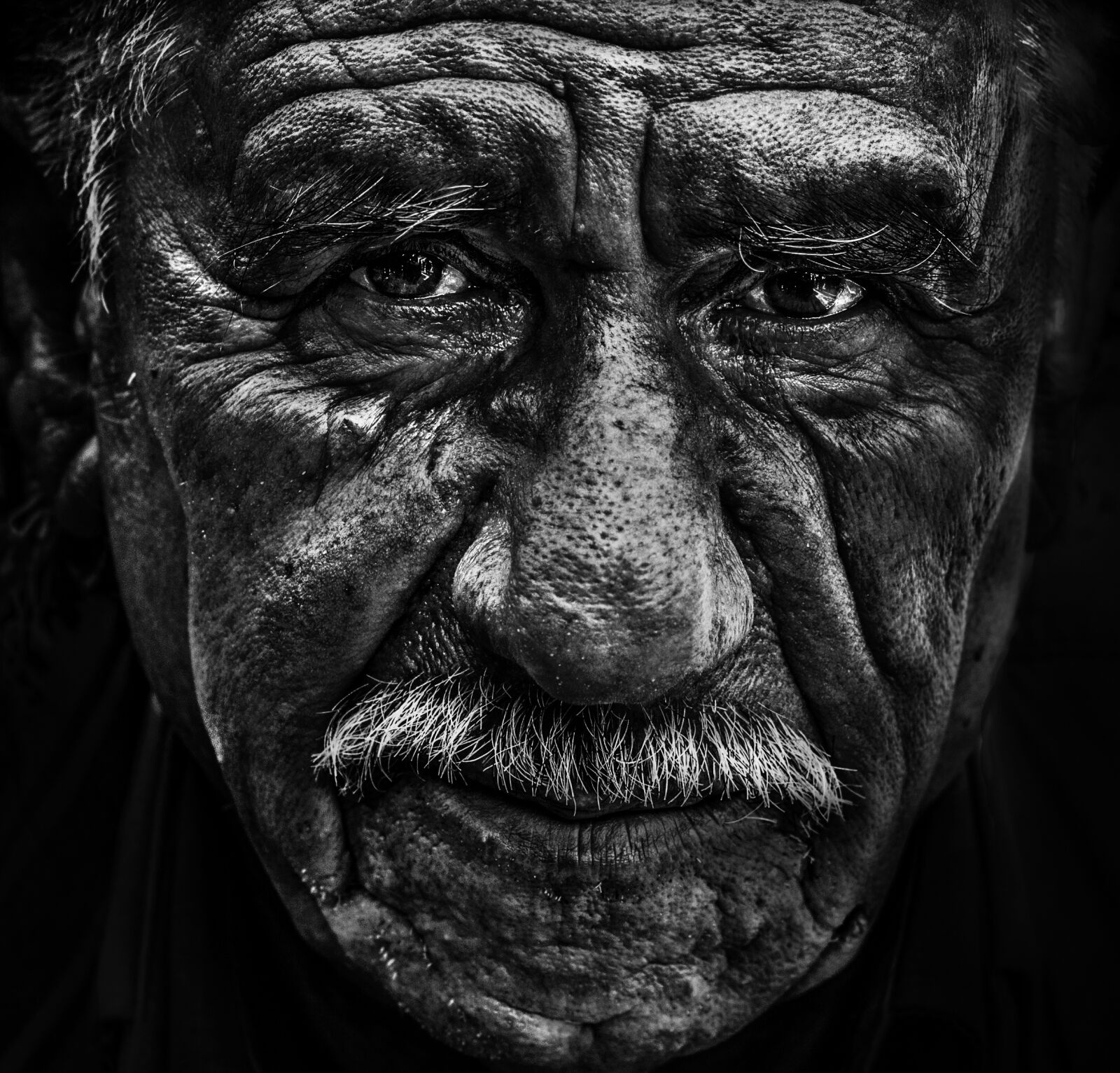 Canon EOS 60D + Canon EF 50mm F1.8 II sample photo. People, portrait, senior photography