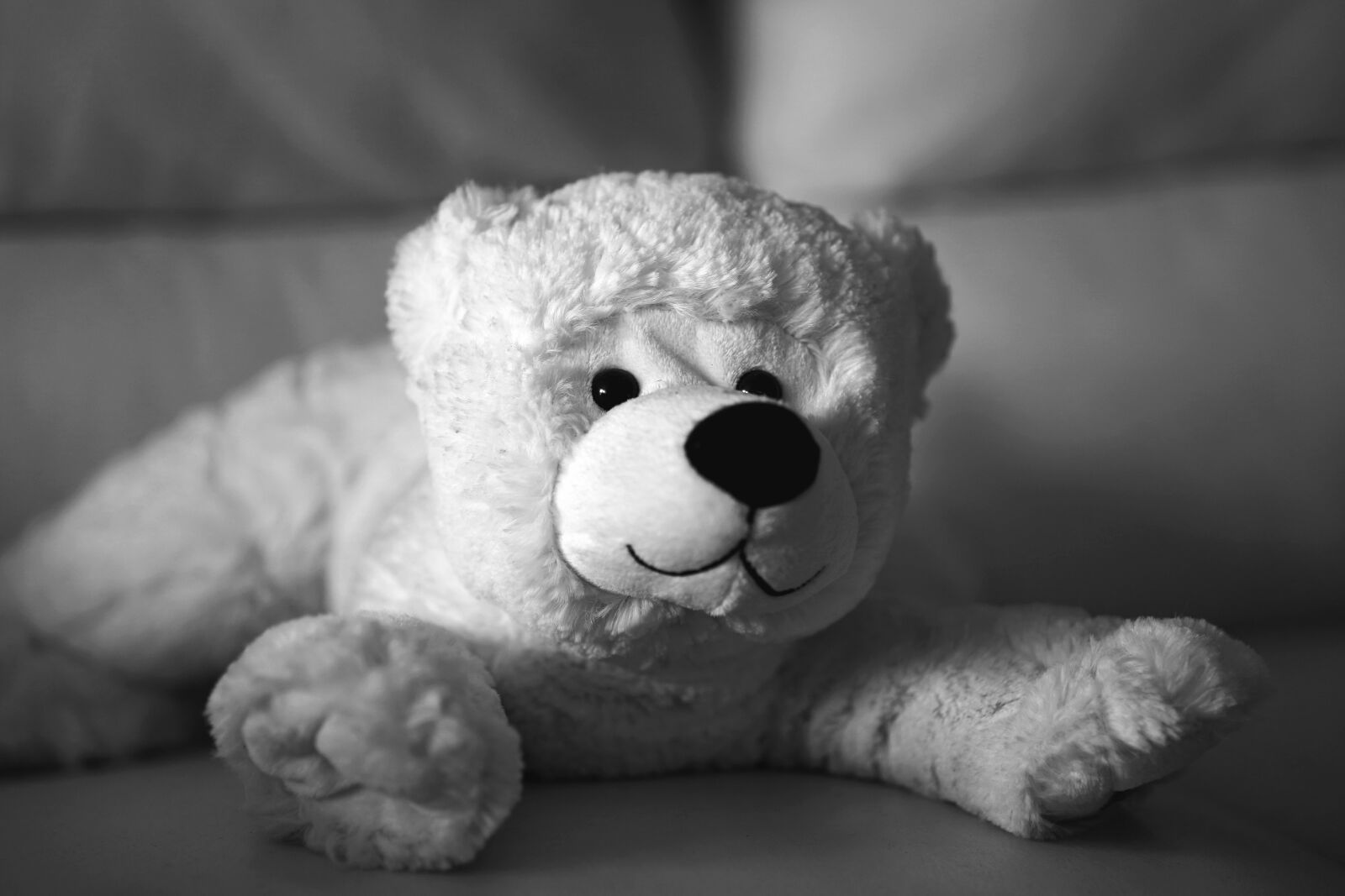 Sony a7 III sample photo. Teddy bear, plush, stuffed photography