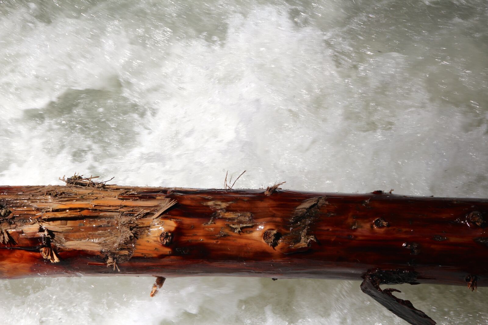 Canon EOS 600D (Rebel EOS T3i / EOS Kiss X5) sample photo. Wood, tribe, log photography