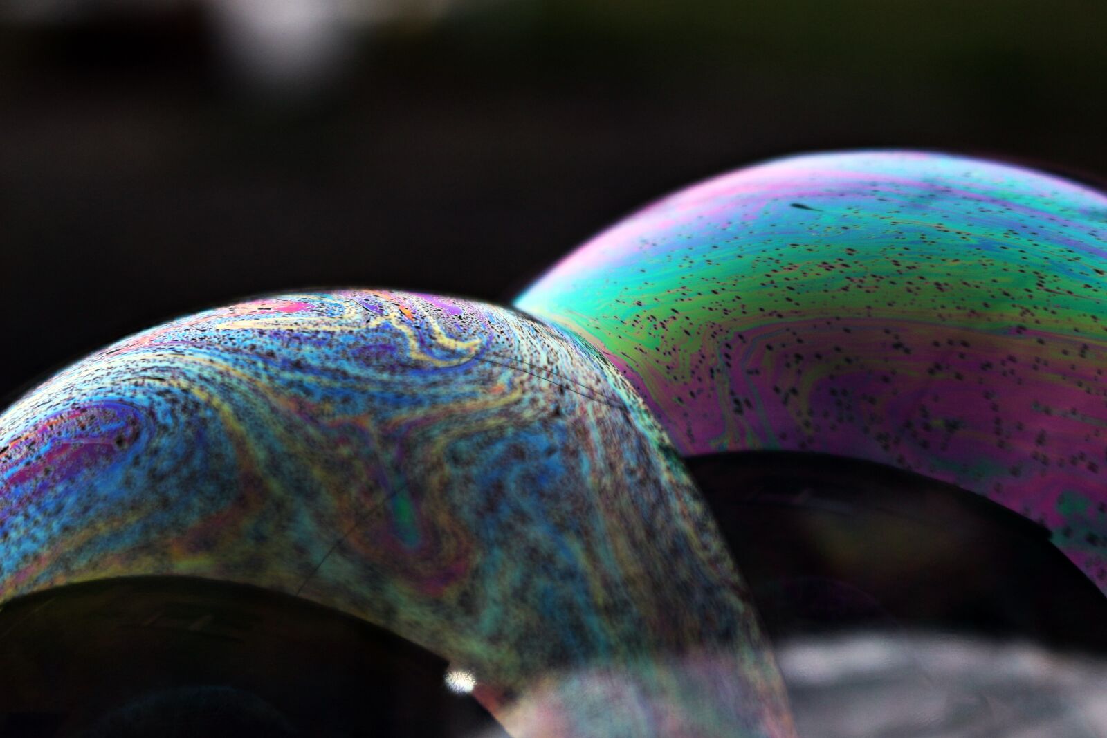 Canon EOS 100D (EOS Rebel SL1 / EOS Kiss X7) sample photo. Blow, soap bubbles, colorful photography