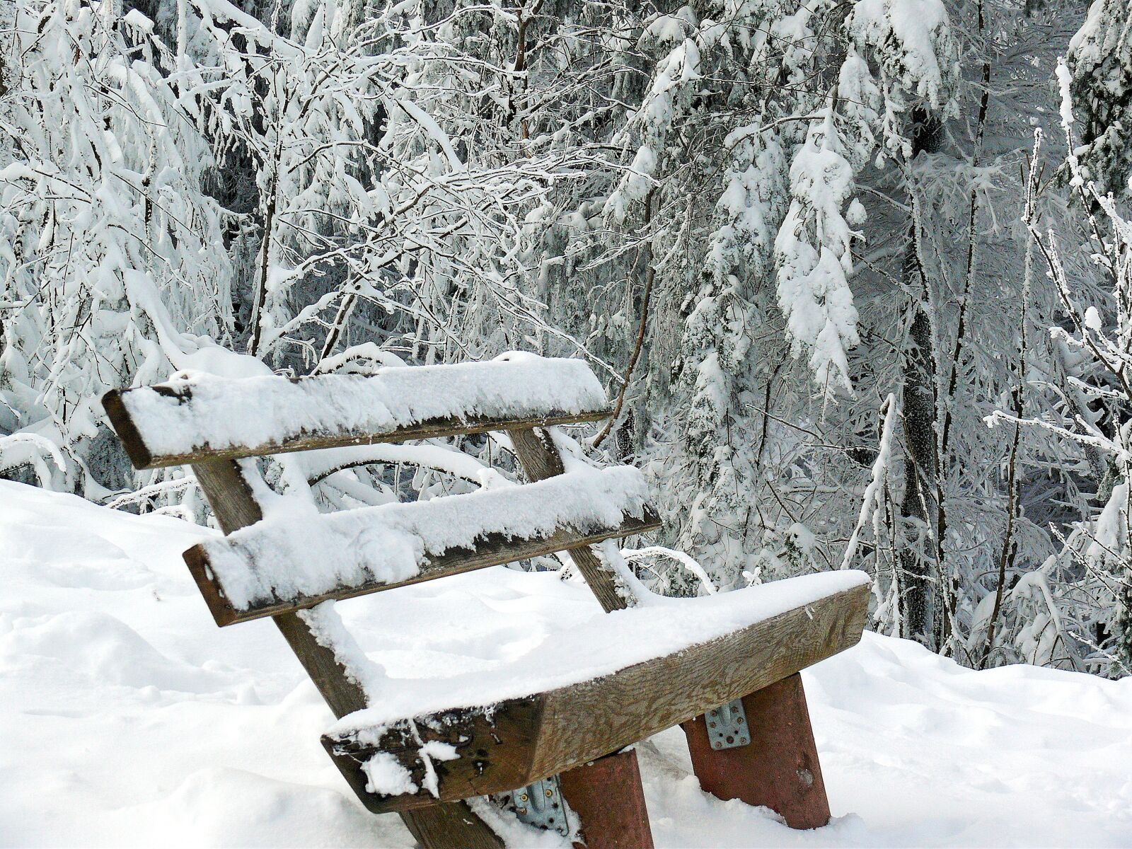 Leica V-LUX 1 sample photo. Winter, winter idyll, landscape photography