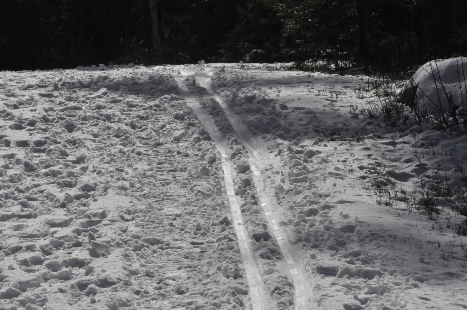Nikon D5000 sample photo. Track, winter, skiing photography
