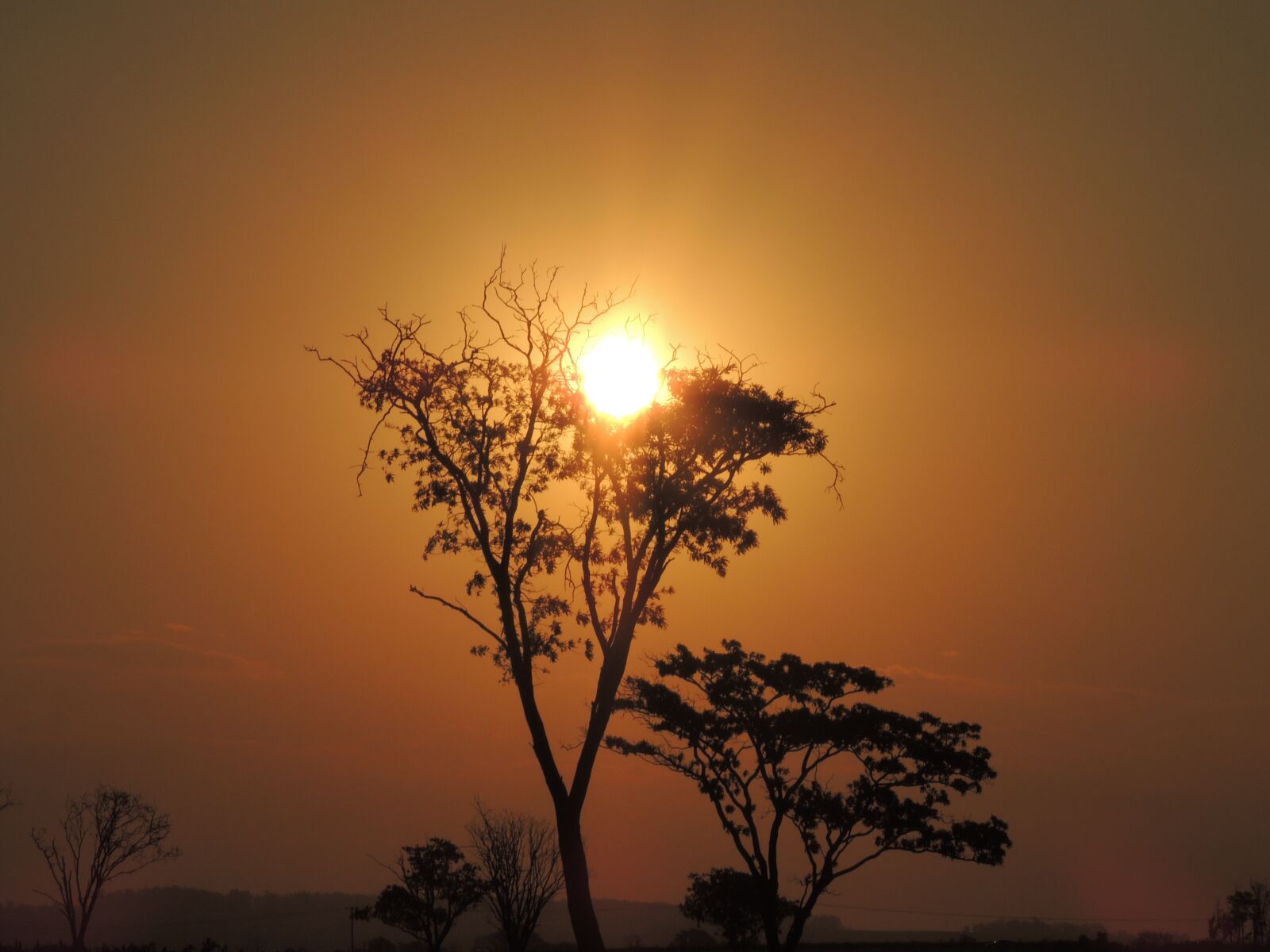 Nikon Coolpix P510 sample photo. Sunset, eventide, sol photography