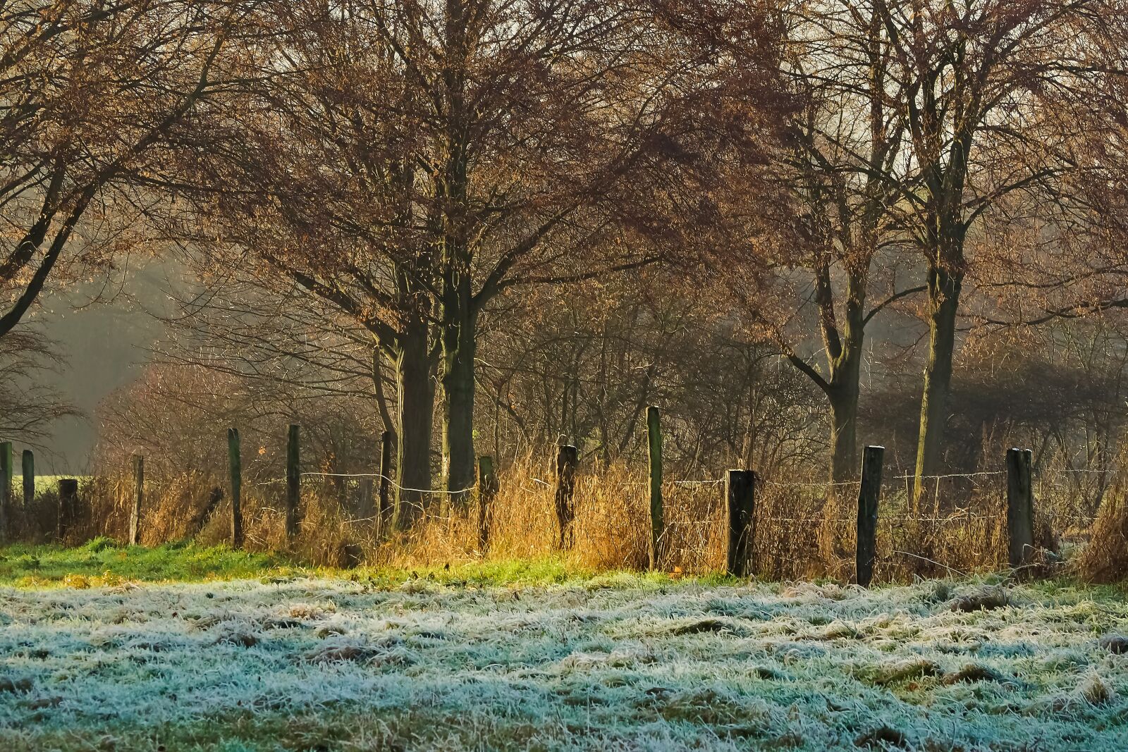 Olympus OM-D E-M10 sample photo. Nature, landscape, fence photography