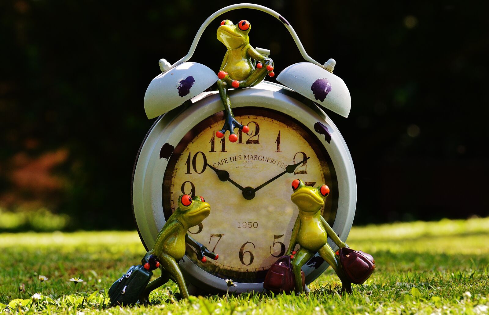 Nikon D3200 sample photo. Frogs, time to go photography