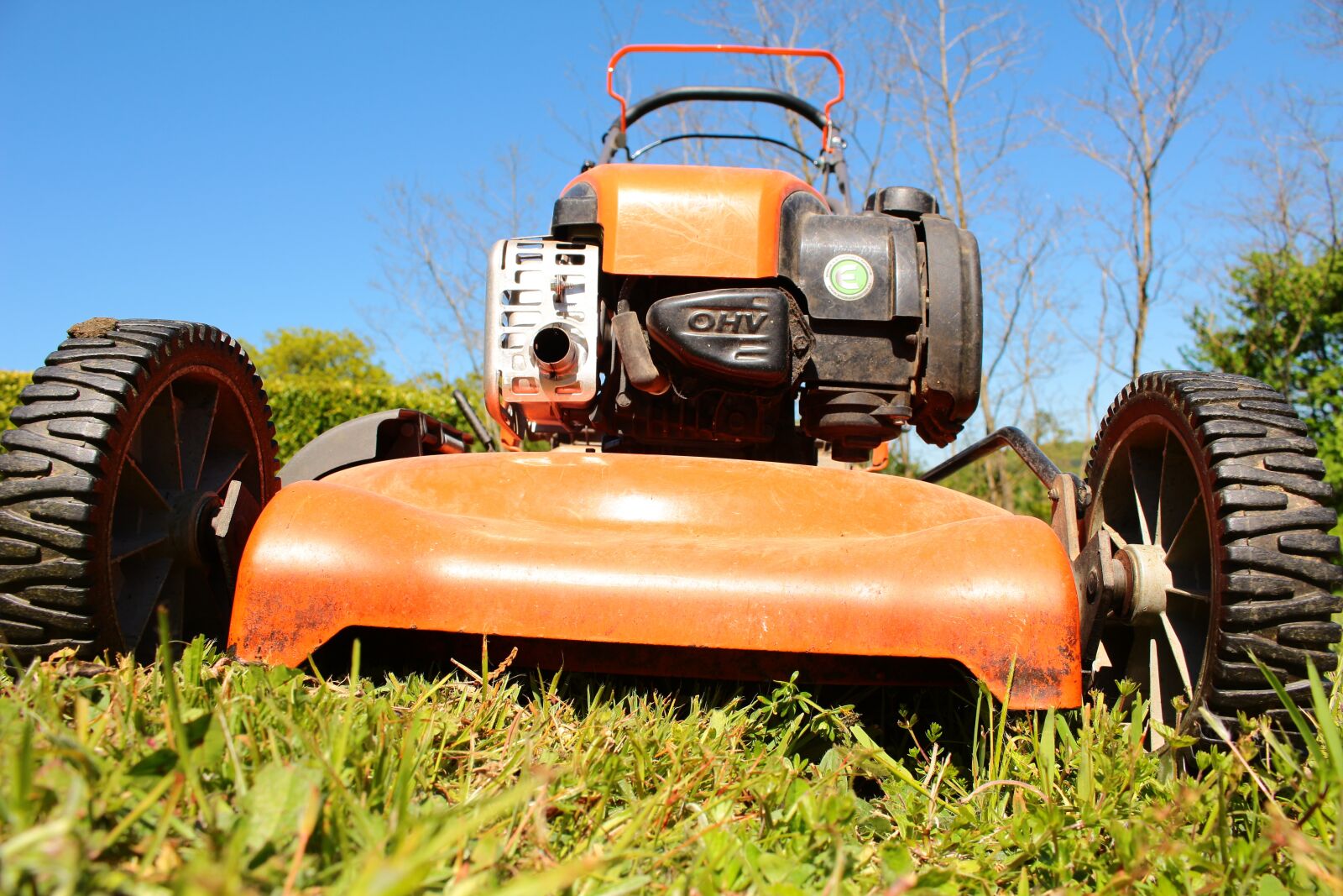 Canon EOS 100D (EOS Rebel SL1 / EOS Kiss X7) sample photo. Mower, nature, green photography
