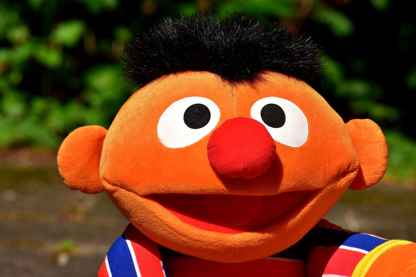 Nikon D7200 sample photo. Ernie, plush, funny photography