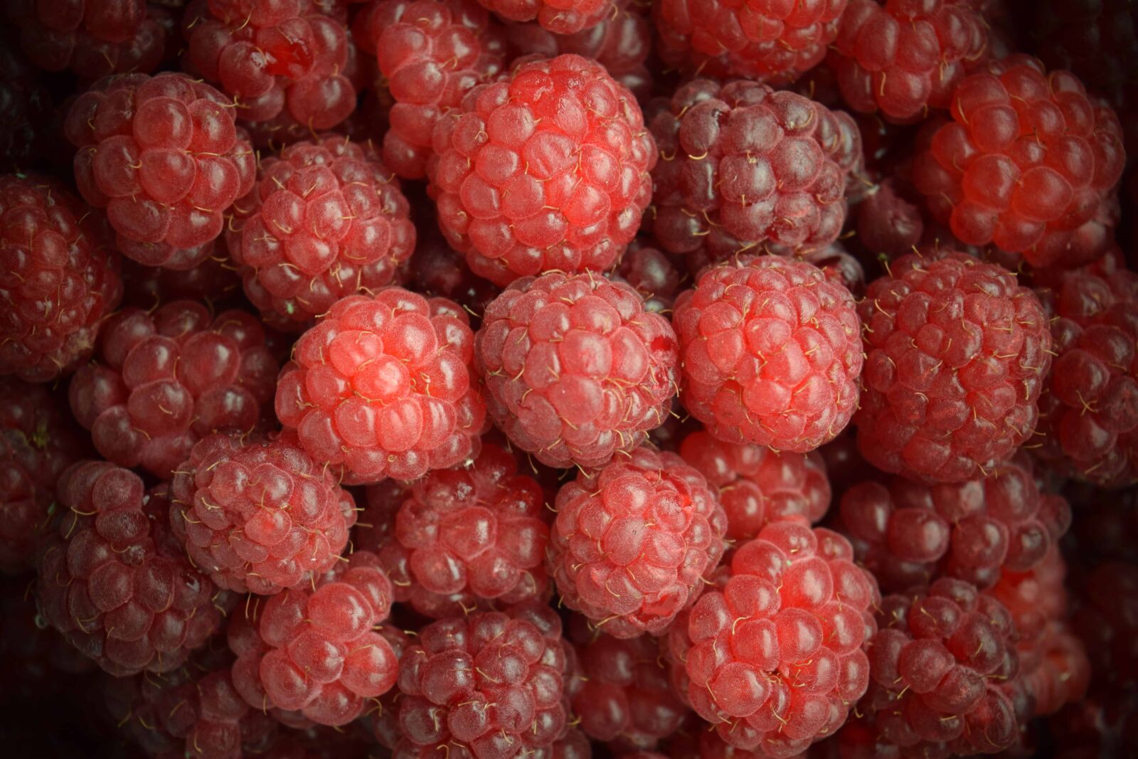 Nikon D3300 sample photo. Raspberry, sweet, berry, fruit photography