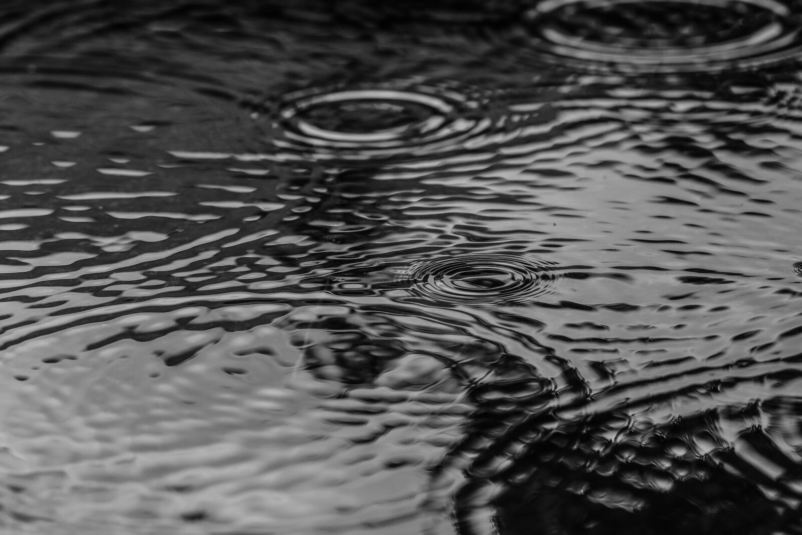 Canon EOS 7D Mark II sample photo. Puddle, water, rain photography