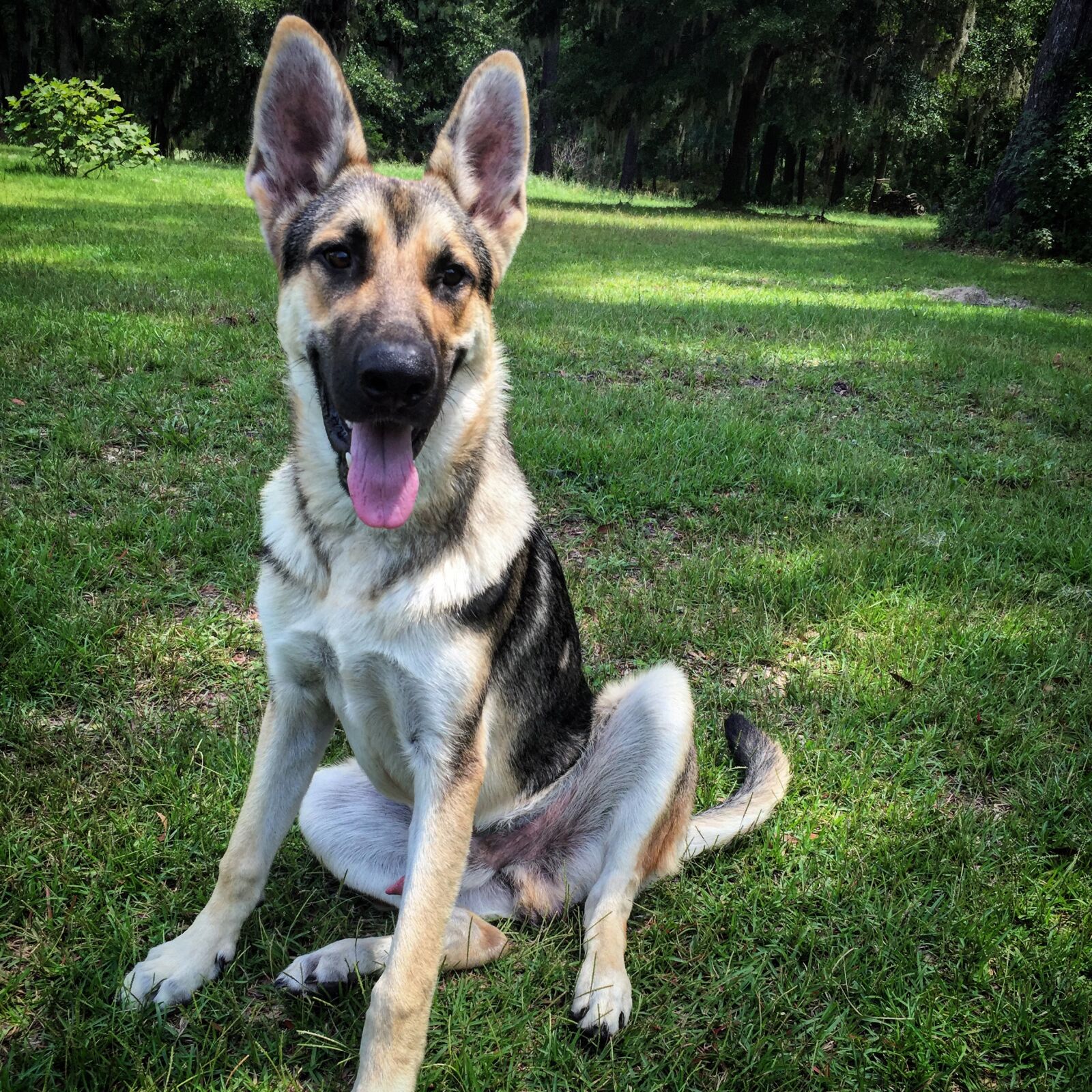 Apple iPhone 6 sample photo