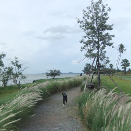 FujiFilm FinePix F80EXR (FinePix F85EXR) sample photos - ExploreCams