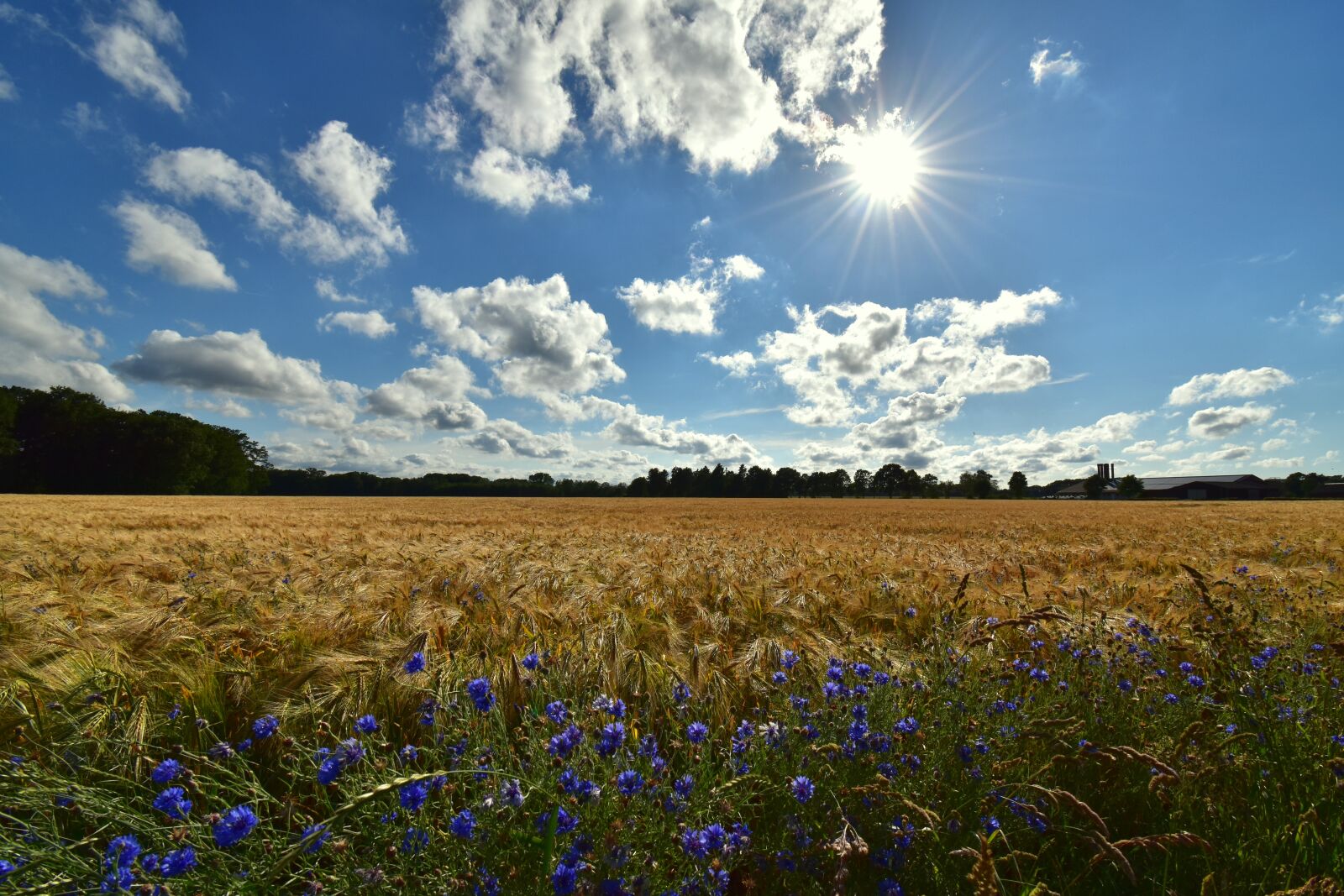 Nikon D5600 sample photo. Landscape, clouds, nature photography