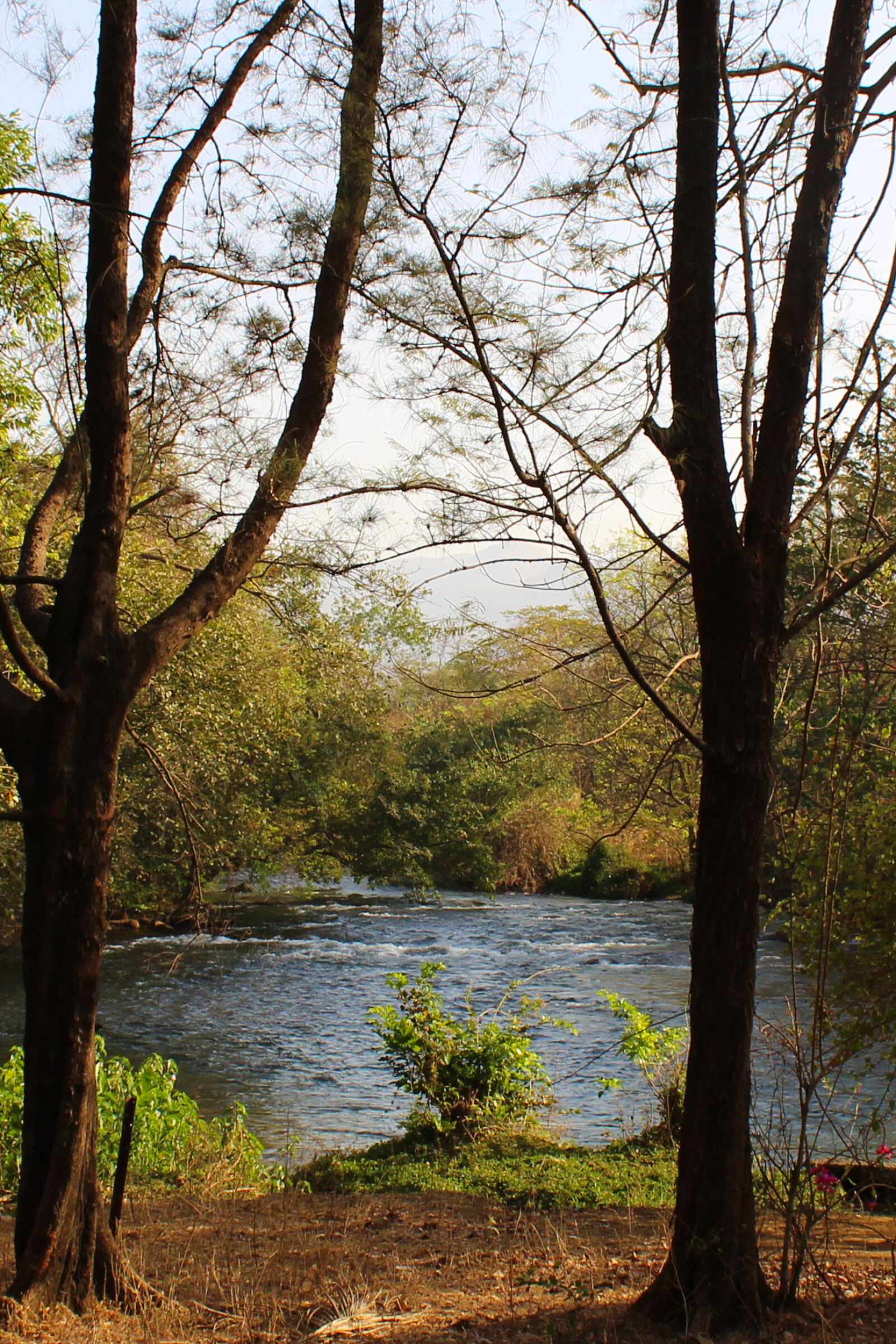 Canon EOS 1200D (EOS Rebel T5 / EOS Kiss X70 / EOS Hi) sample photo. Forest, nature, river, wild photography
