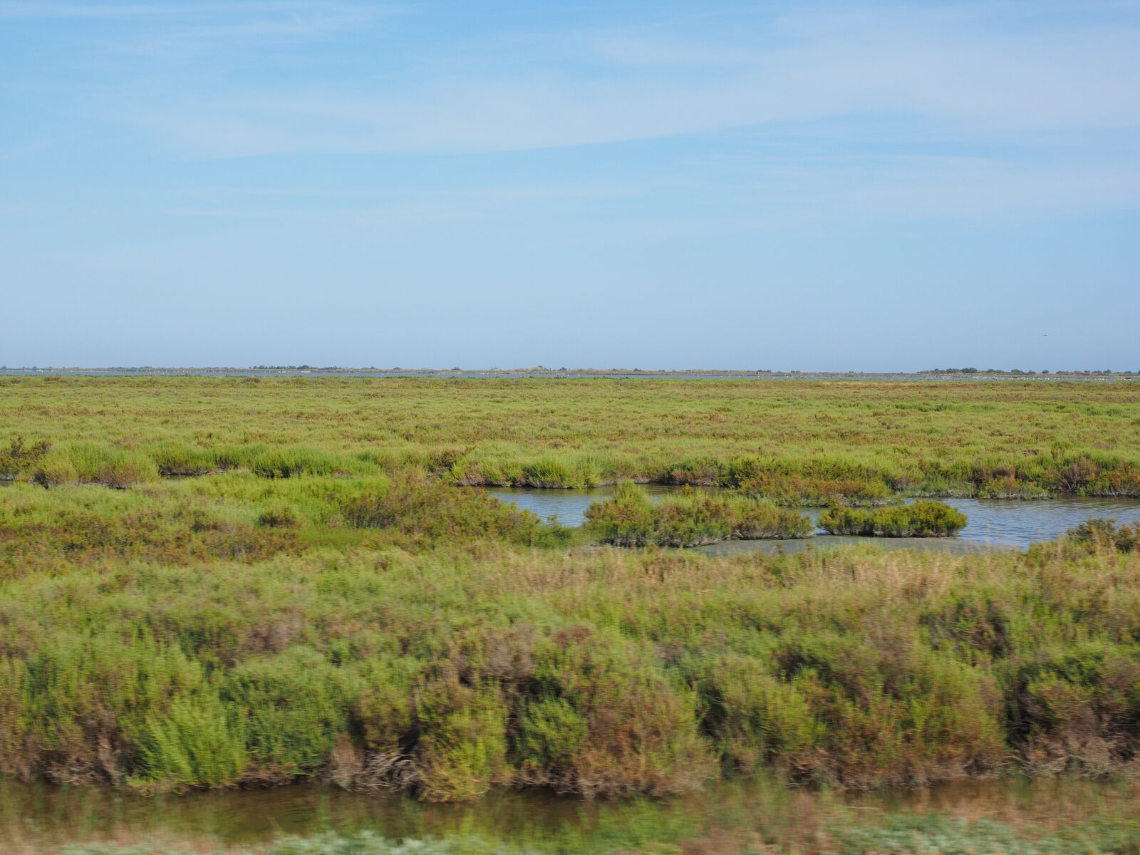 Olympus OM-D E-M1 + Olympus M.Zuiko Digital ED 12-40mm F2.8 Pro sample photo. Camargue, nature park camargue photography