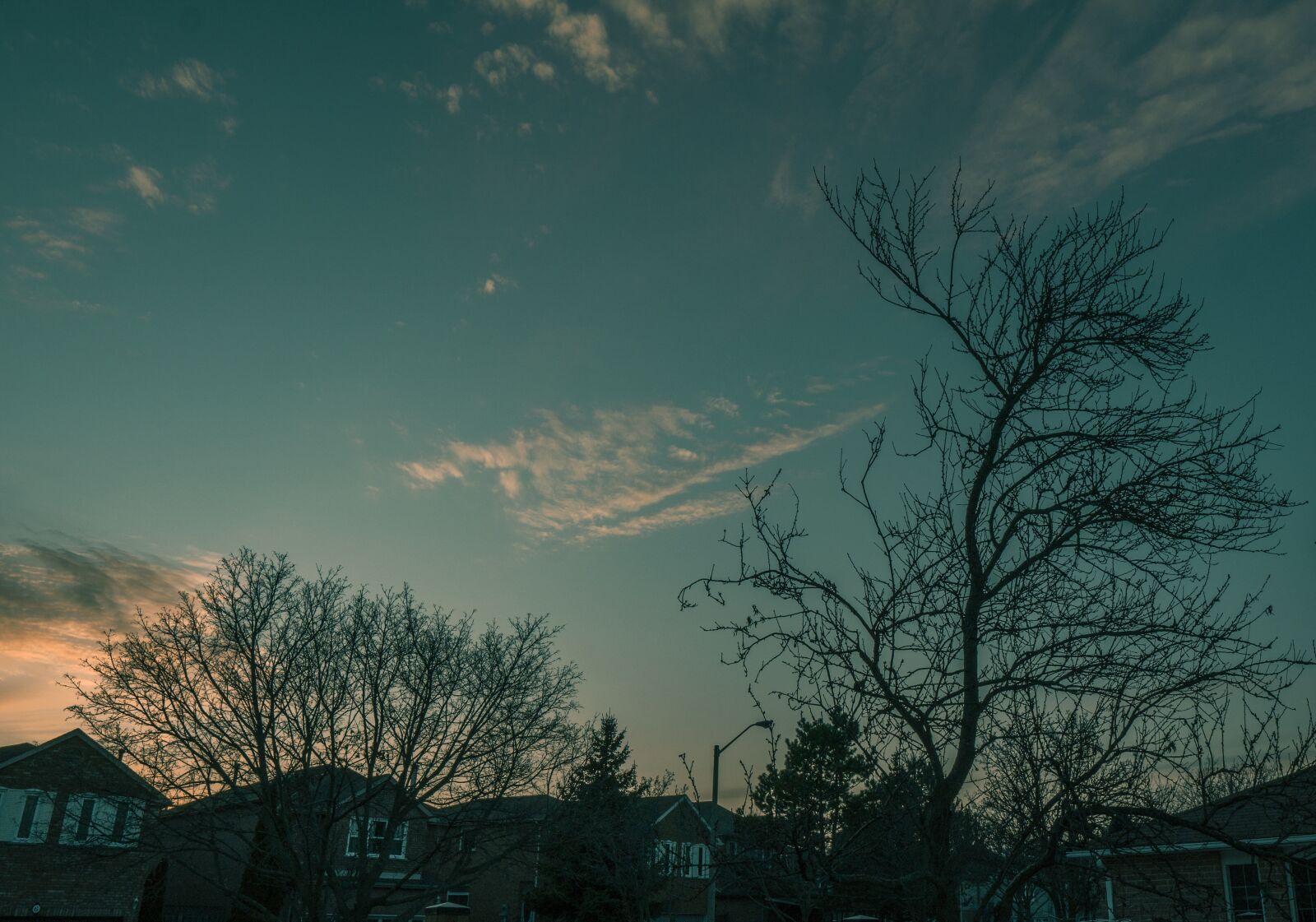 Sony a6500 sample photo. Evening sky, nature, sunset photography