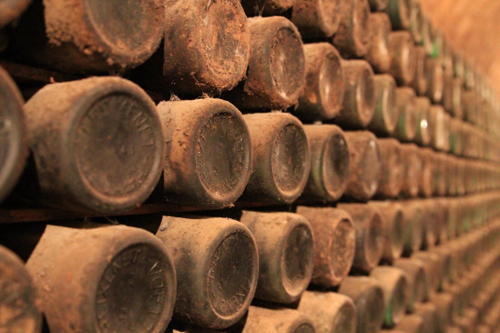 Canon EOS 7D sample photo. Winemaking, wine, kava photography