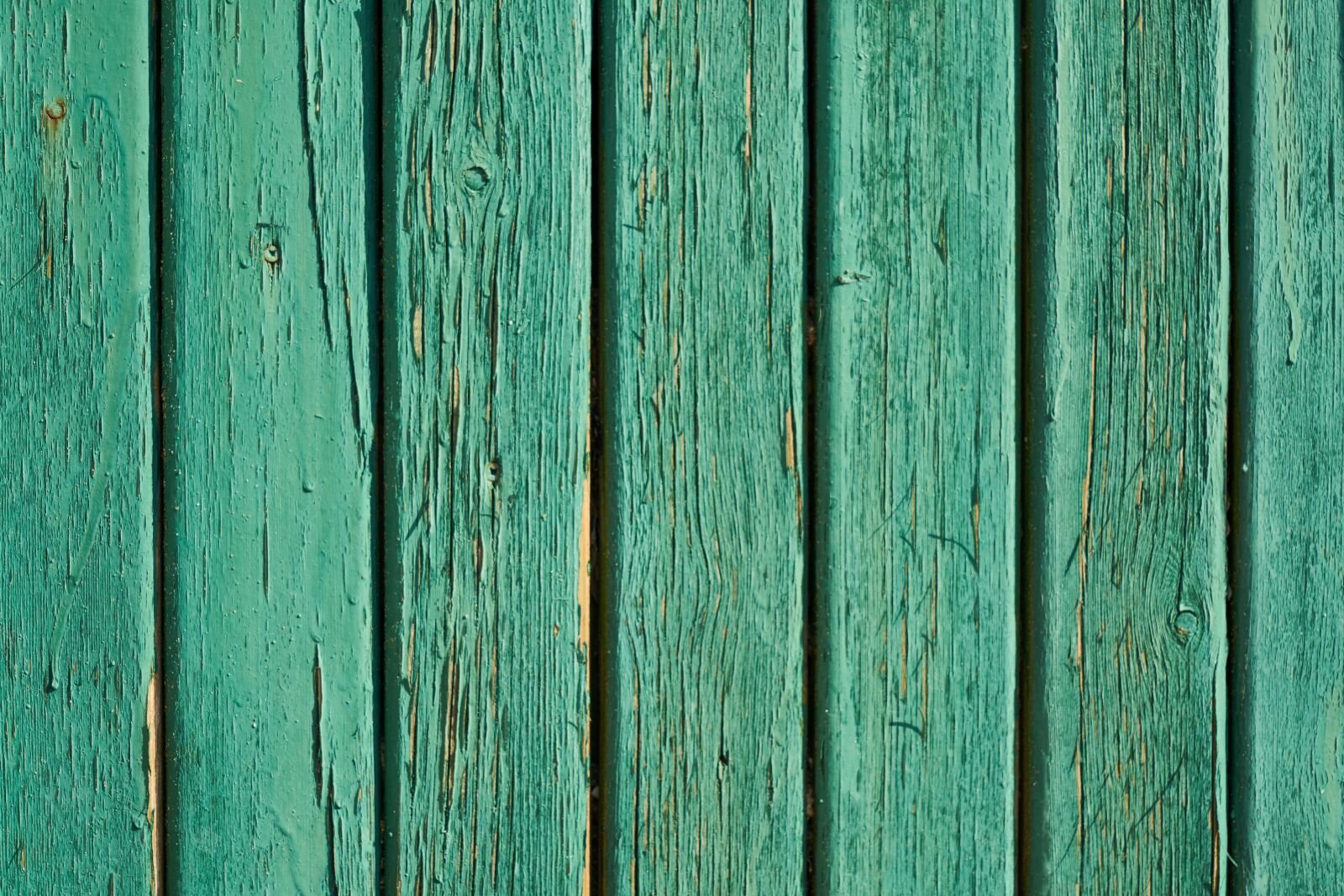 Sony a7R II sample photo. Green, wood-fibre boards, background photography
