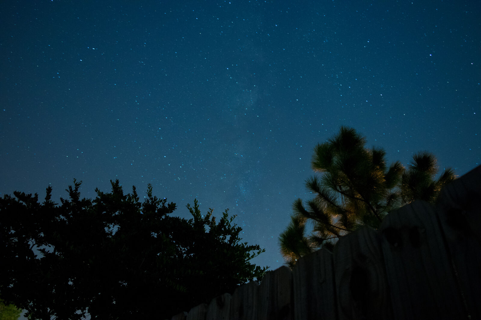 Nikon D3300 sample photo. Astrophotography, fence, milky, way photography