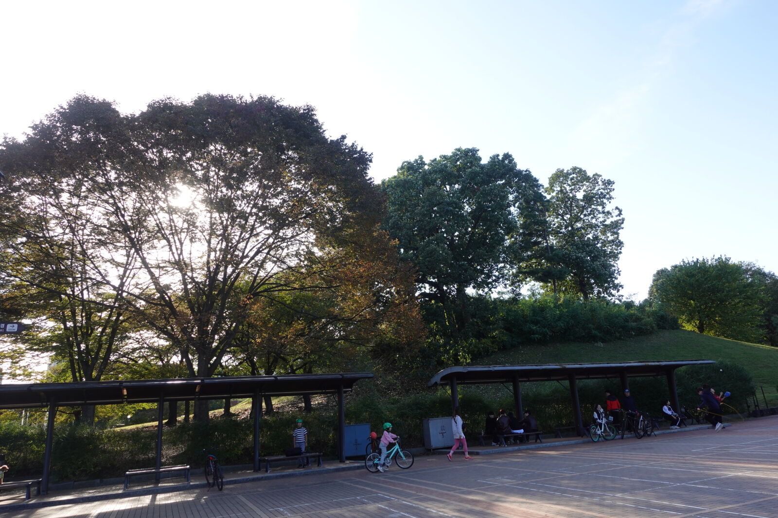 Sony ZV-1 sample photo