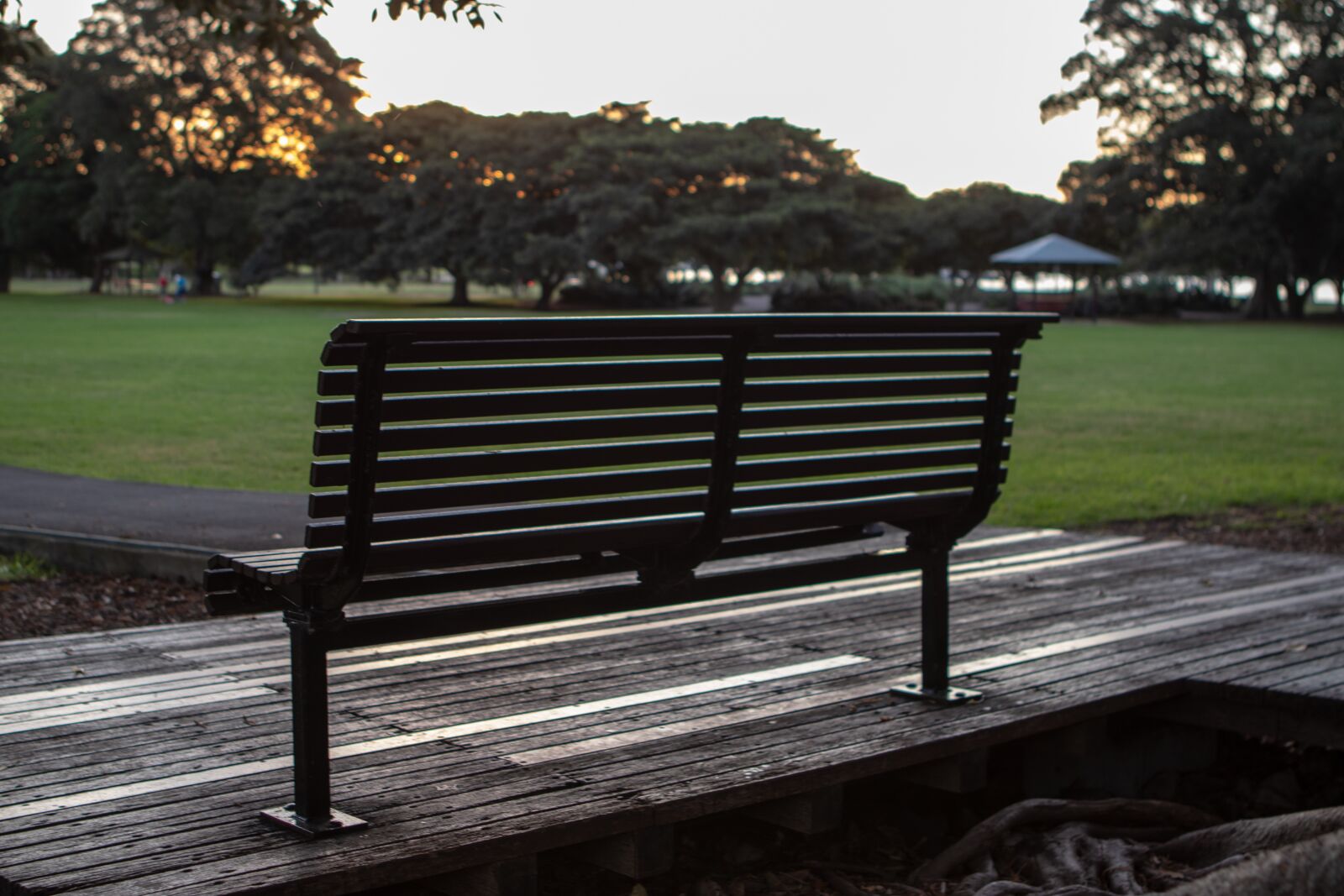 Canon EOS 200D (EOS Rebel SL2 / EOS Kiss X9) + Canon EF 24-70mm F2.8L USM sample photo. Bench, park, sunset photography