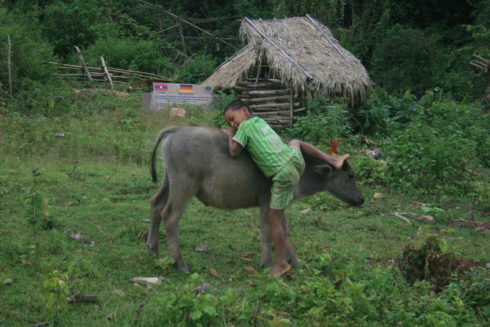 Canon EOS 400D (EOS Digital Rebel XTi / EOS Kiss Digital X) sample photo. Village, laos, jungle photography