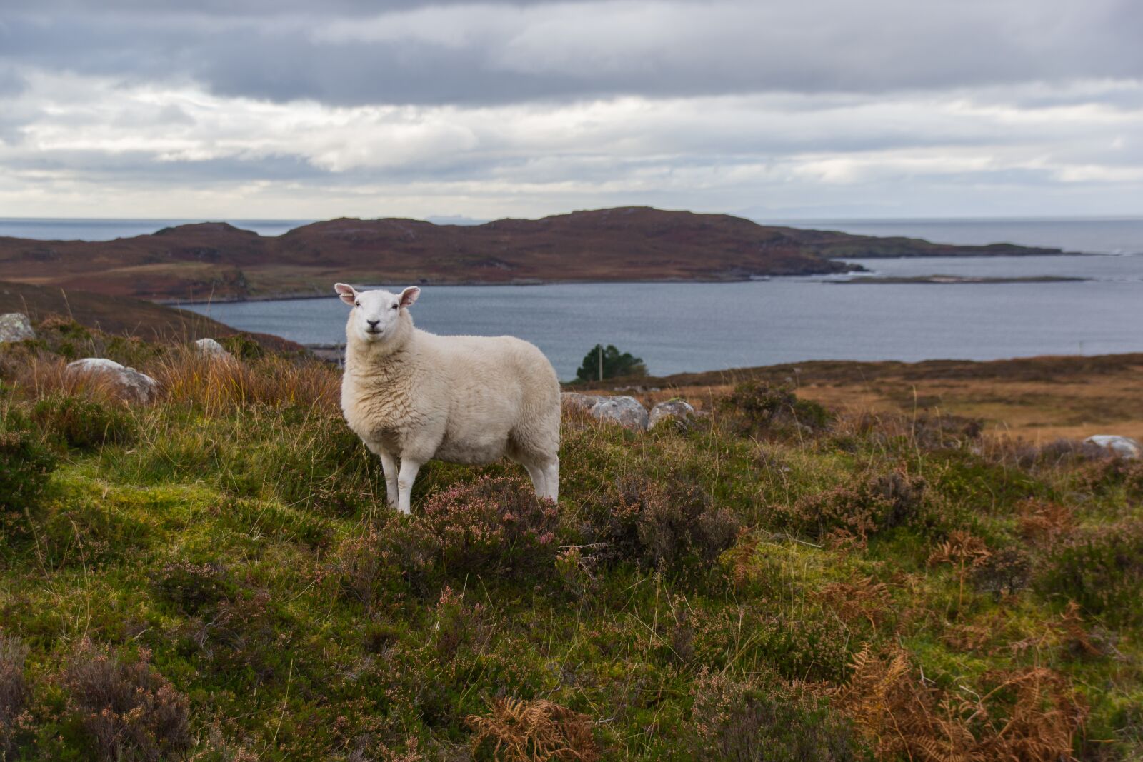 Pentax K-70 sample photo. Scotland, sky, highlands and photography