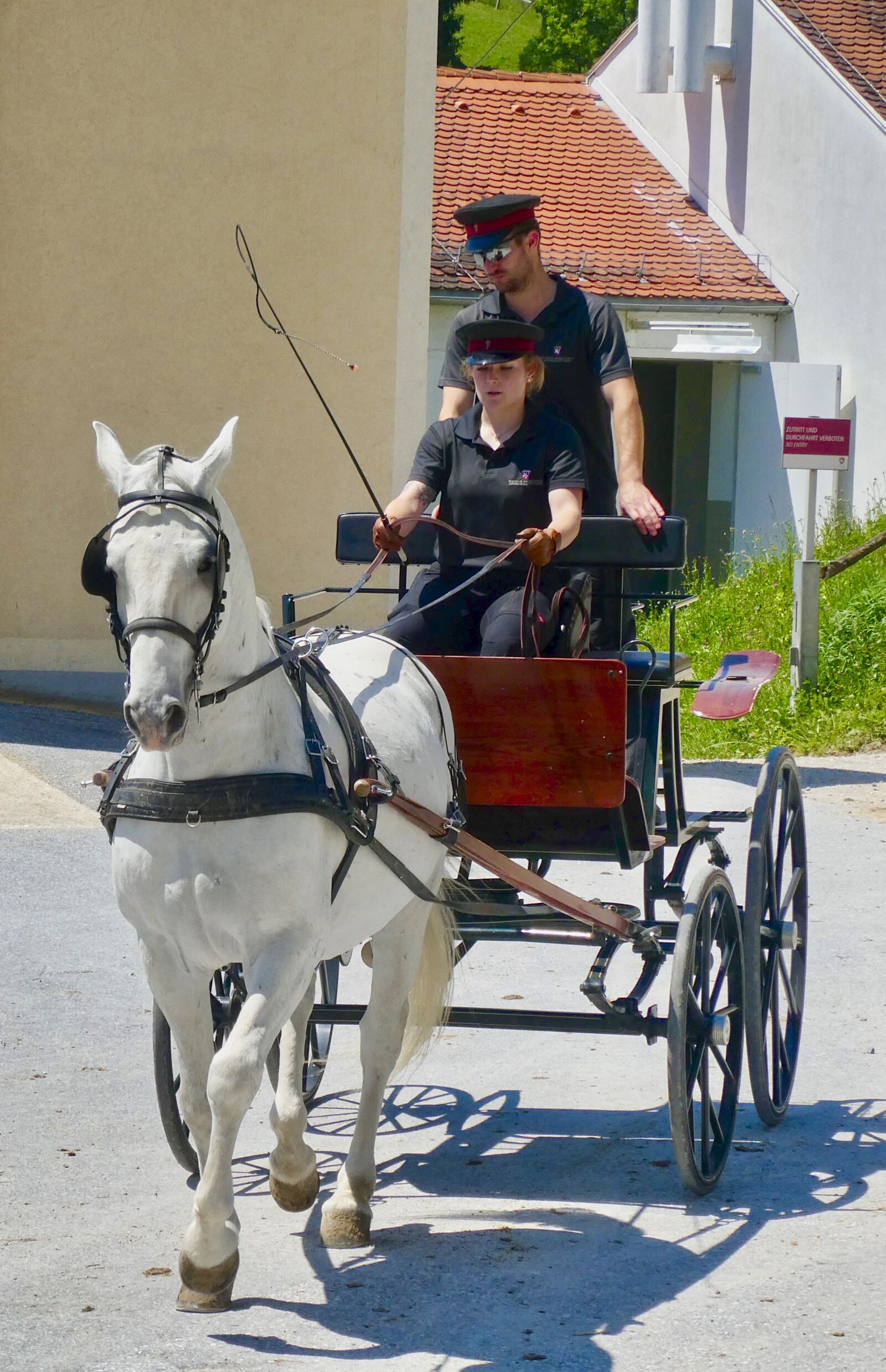 Panasonic Lumix DC-ZS70 (Lumix DC-TZ90) sample photo. Carriage, cart, horse photography